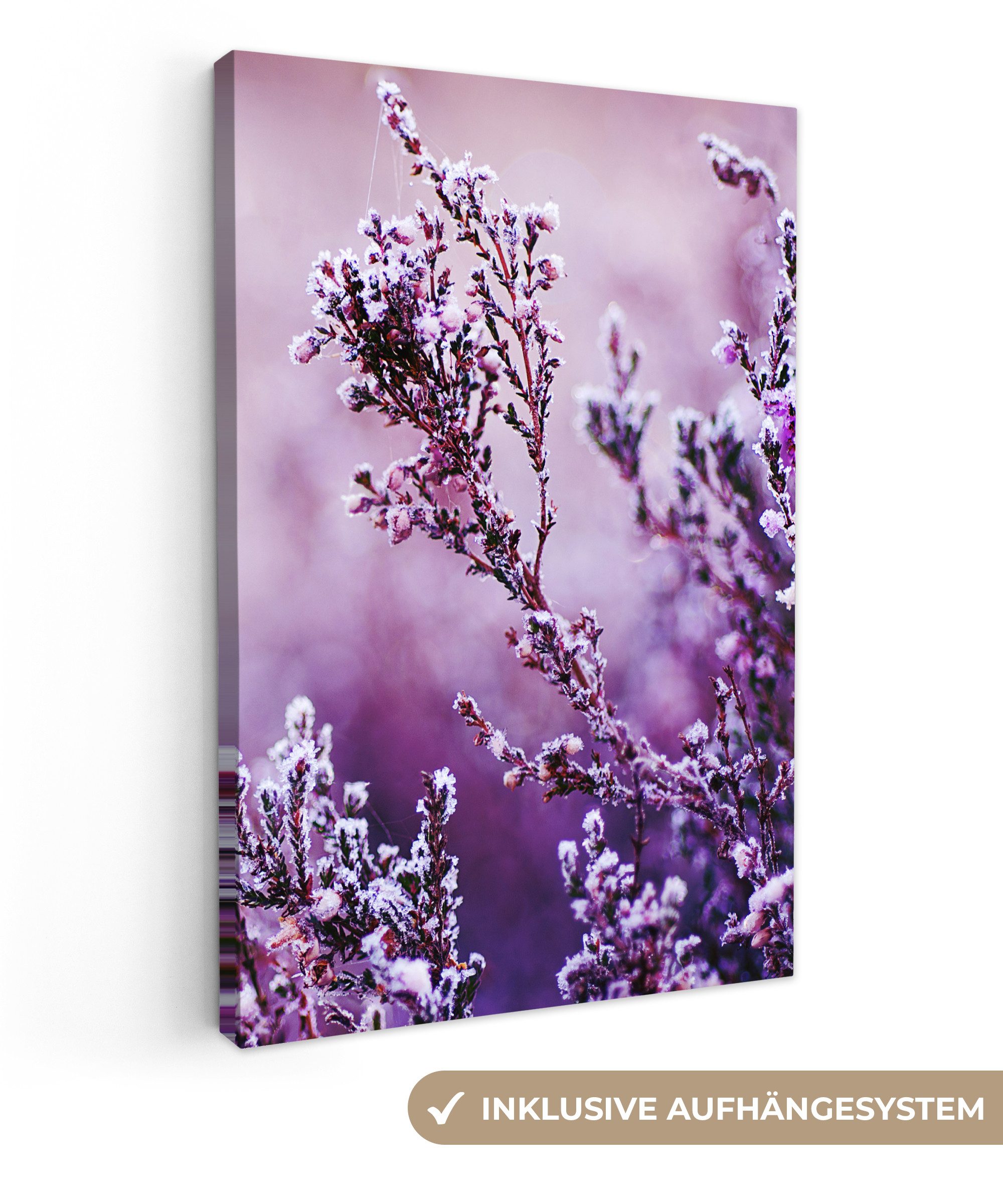 OneMillionCanvasses® Leinwandbild Lavendel - Winter - günstig online kaufen