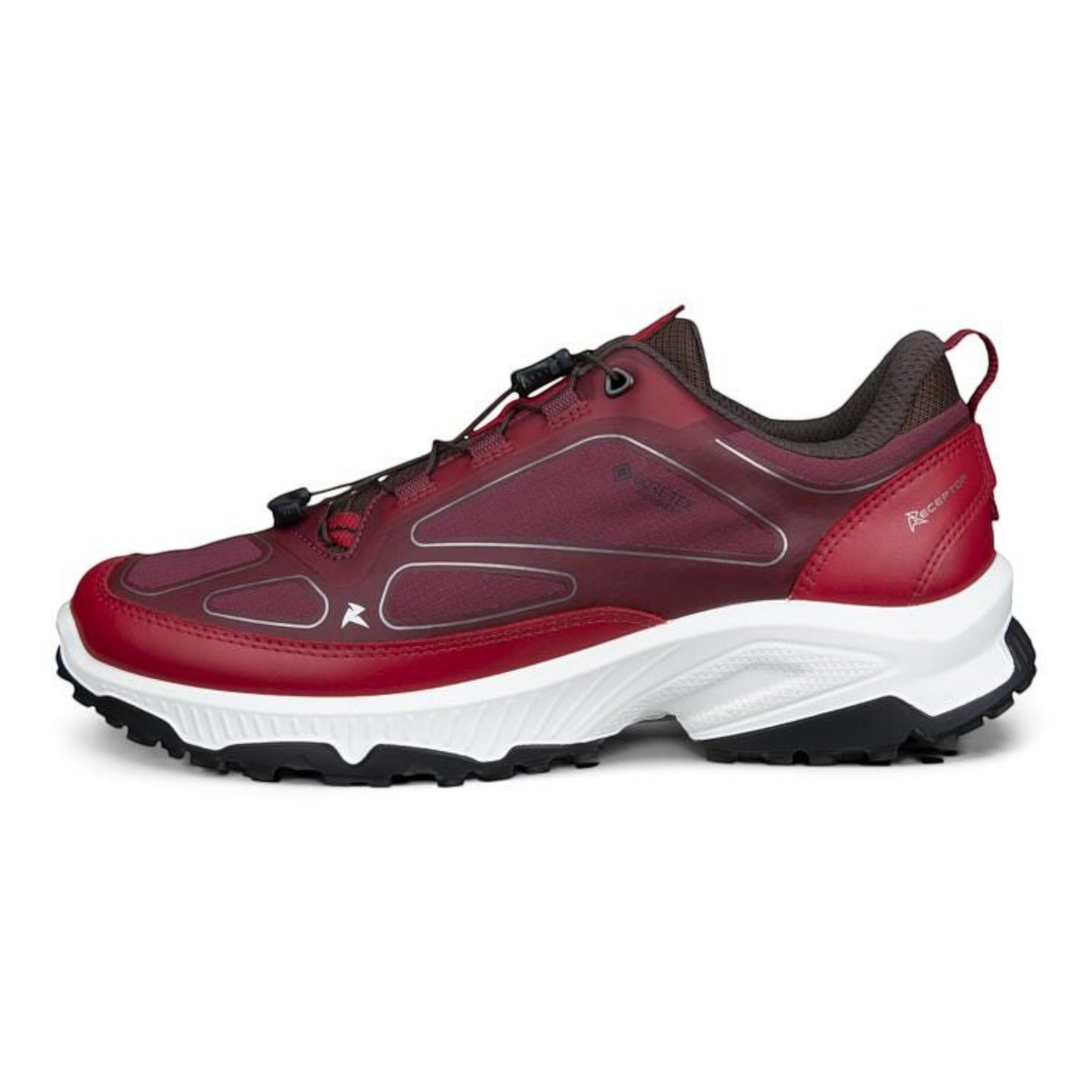 Ecco Wanderschuhe Receptor XP GTX (Schnellschnürsystem, wasserdicht) Sneaker
