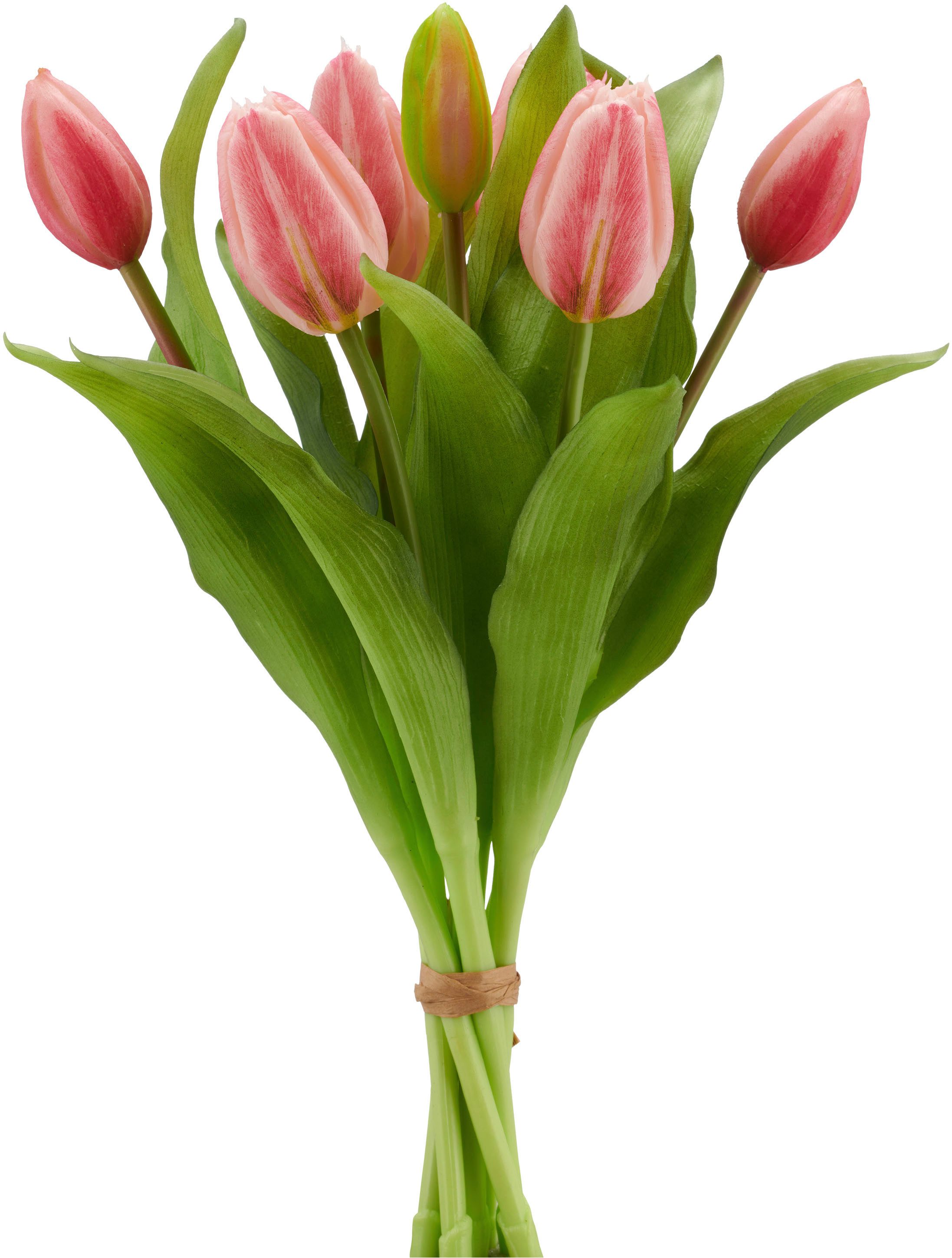 Kunsttulpe Tulpenbund, Creativ green, Höhe 32 cm, aus 7 Einzelstielen