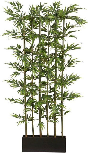 Kunstpflanze »Bambus«, Creativ green, Höhe 195 cm-Otto
