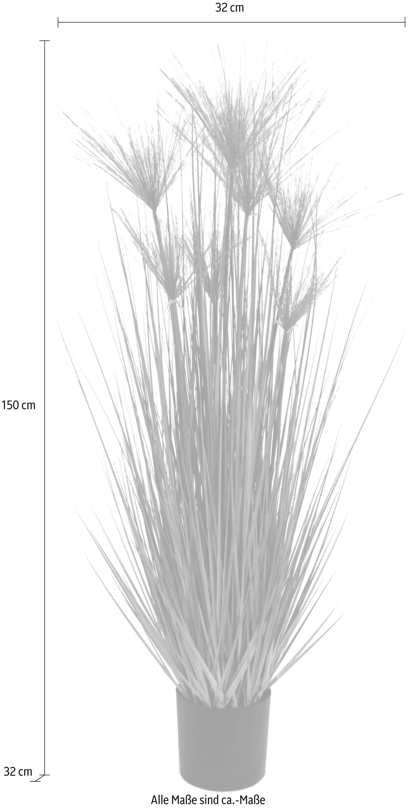 Kunstpflanze Zyperngras im Topf Zyperngras, I.GE.A., günstig online kaufen