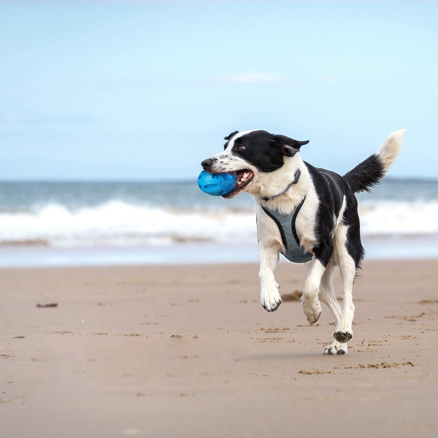 Tierball Welpen kauen TUABUR Hundespielzeug, Gummi Ball, (1-tlg)