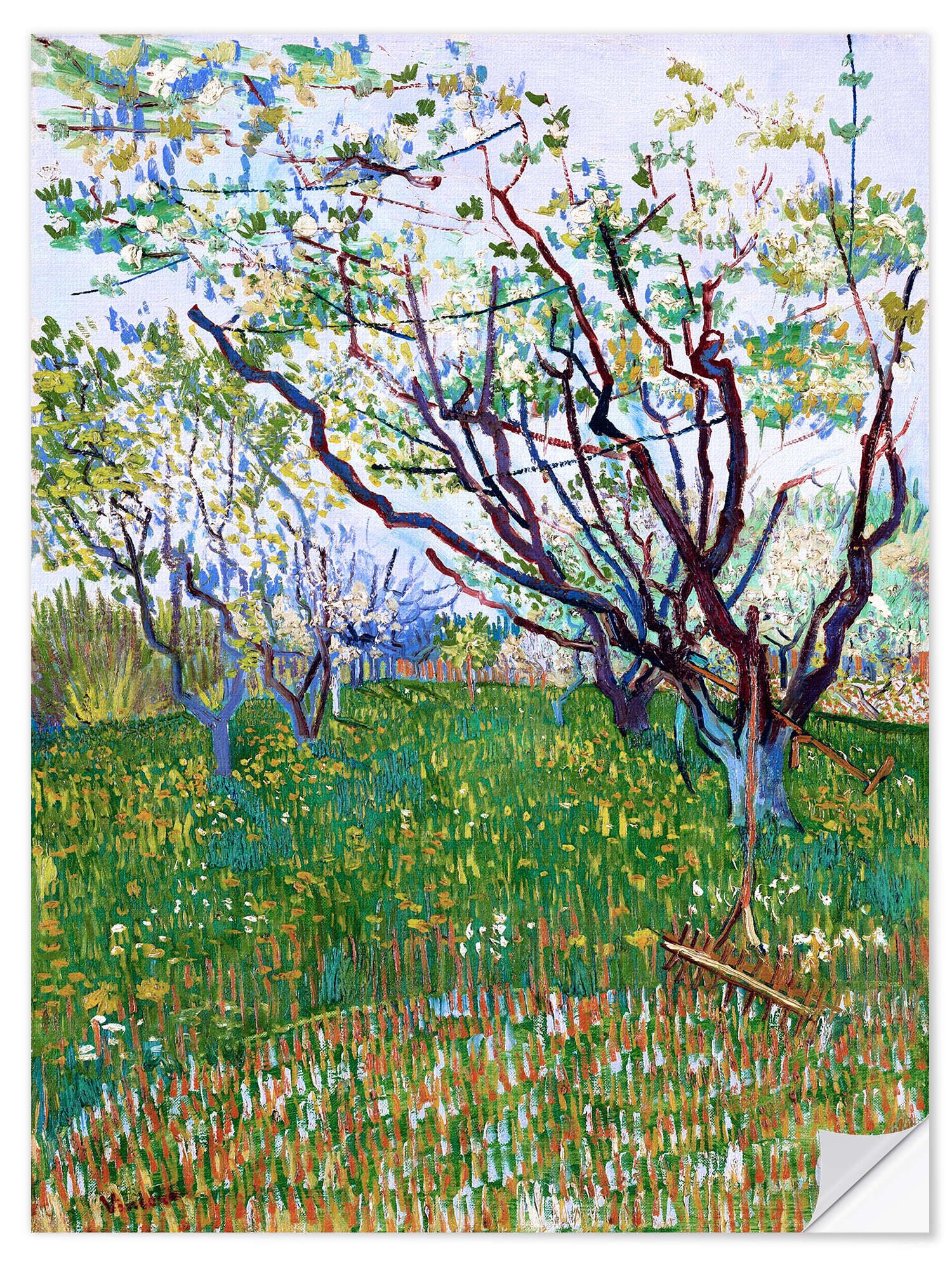 Wandfolie Vincent van Gogh