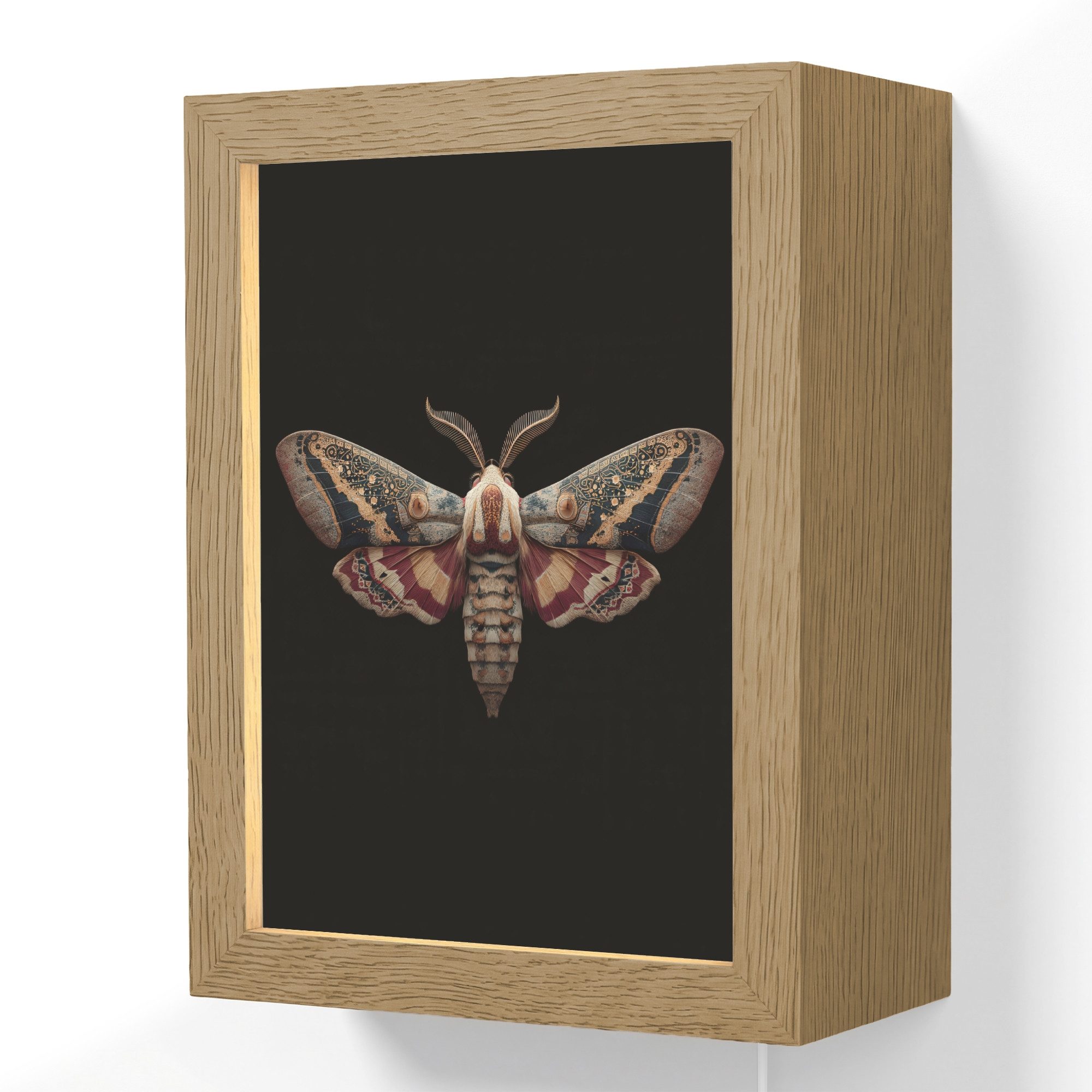 Wandleuchte Lightbox Nachtfalter - Orientalische Muster - Ornamental