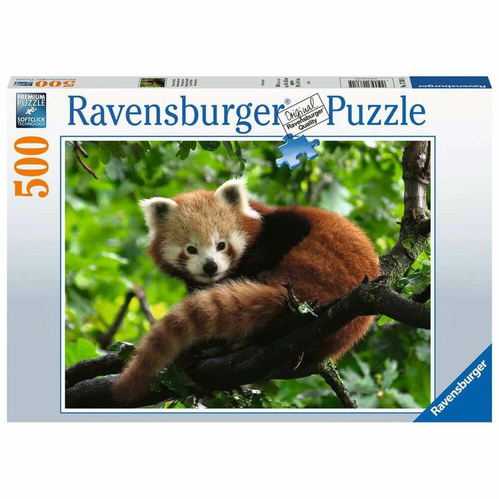 Ravensburger Puzzle Süßer roter Panda 500 Teile, 500 Puzzleteile