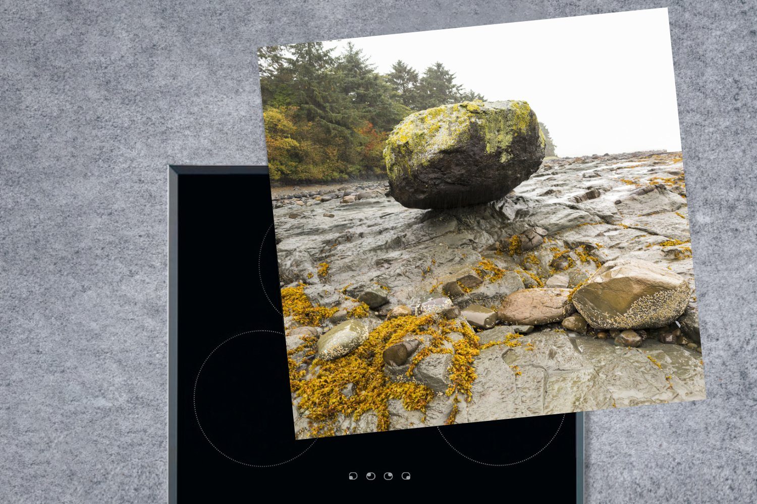 MuchoWow Herdblende-/Abdeckplatte Felsen von küche Kanada, cm, Strand Arbeitsplatte tlg), 78x78 Ceranfeldabdeckung, in Gwaii Haida für am (1 Vinyl