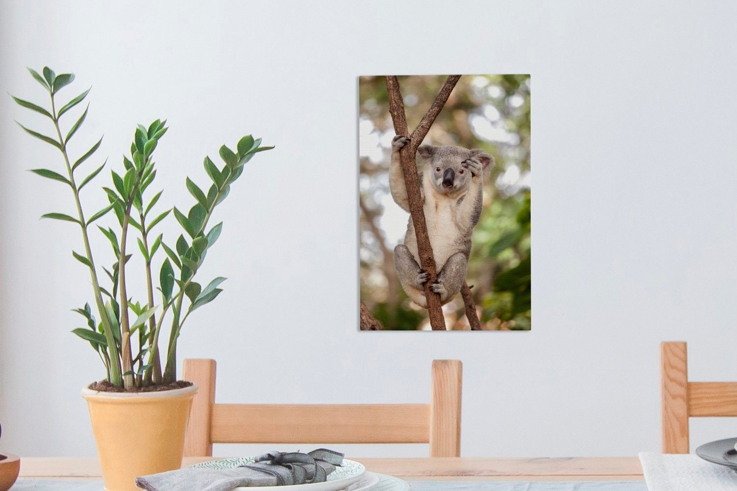 Äste 20x30 (1 - cm Zackenaufhänger, - inkl. Koala Gemälde, Leinwandbild - OneMillionCanvasses® Mädchen, St), - Tier fertig - Leinwandbild Kinder Jungen bespannt