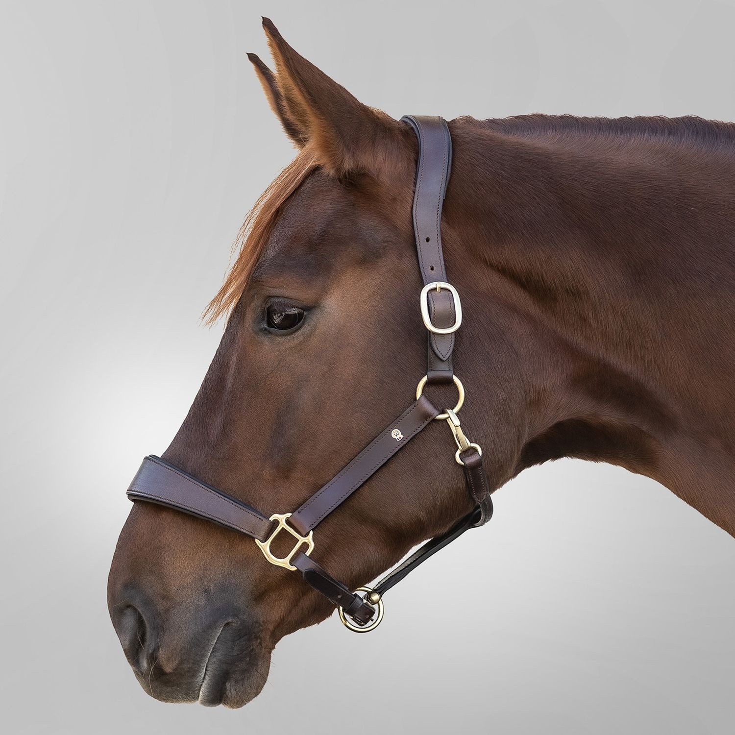 Waldhausen Кобура Waldhausen Lederhalfter X-Line Anatomic