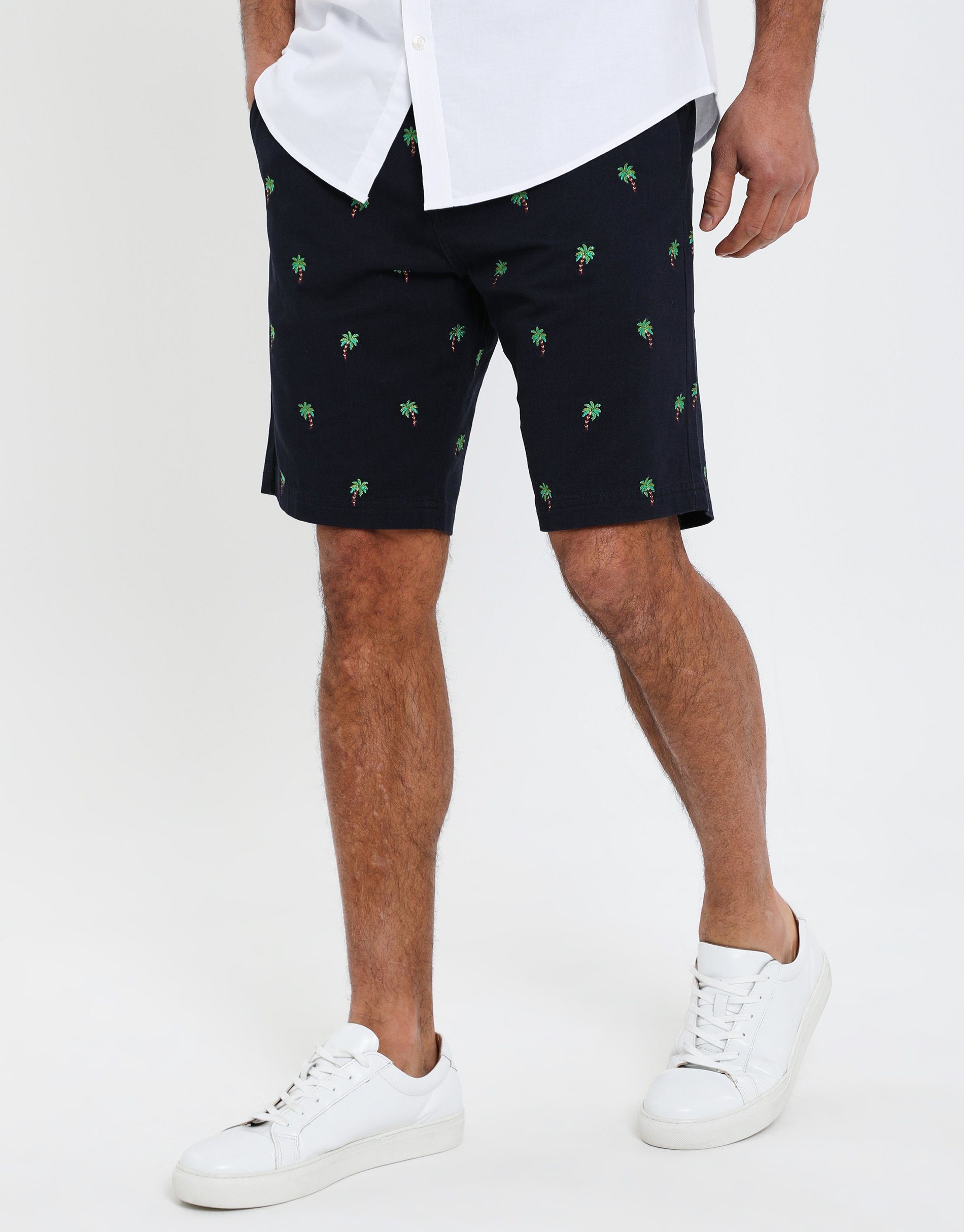 Threadbare Chinoshorts THBTropez Palm