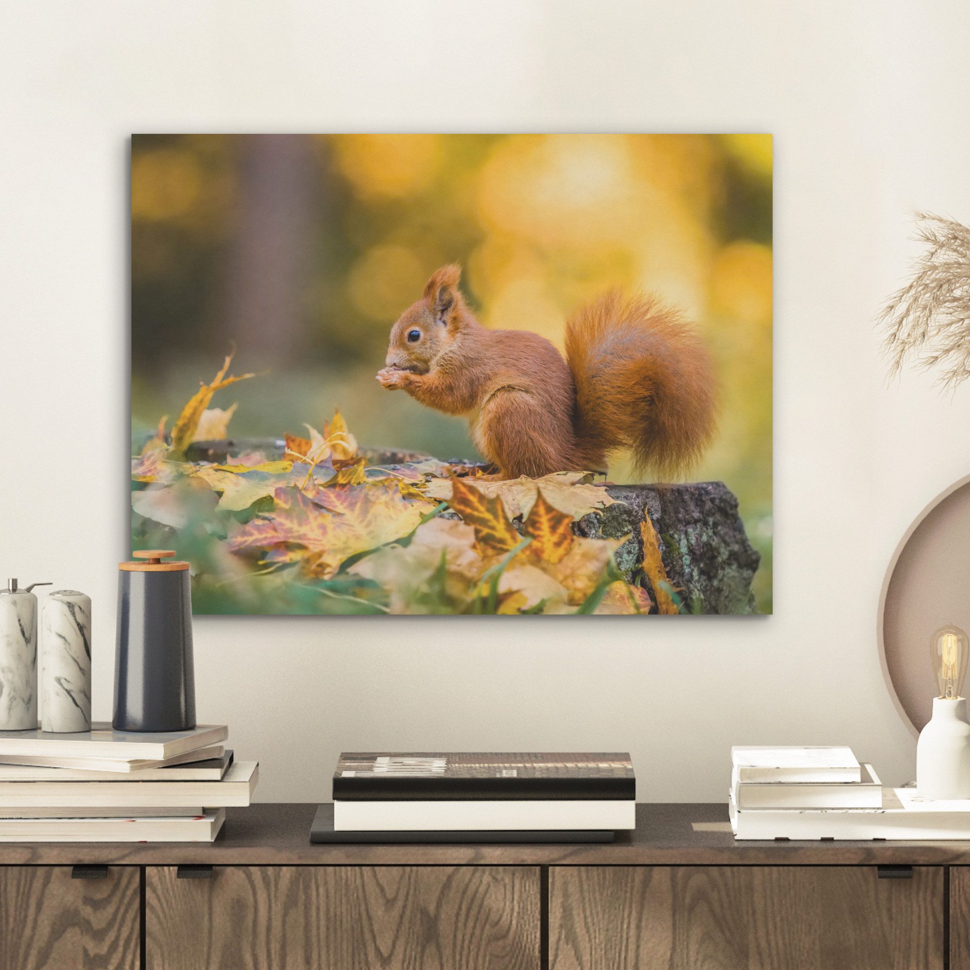 MuchoWow Gemälde Eichhörnchen - Herbst - günstig online kaufen