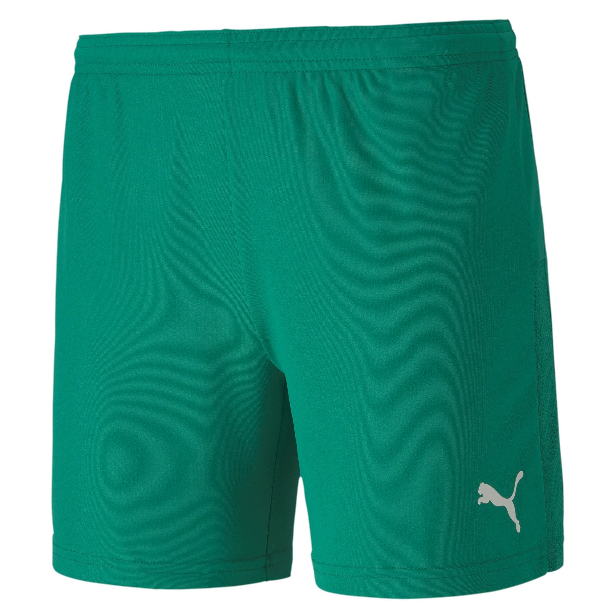 Trainingsshorts Puma Damen Short teamGOAL 23 Knit Shorts W 704379