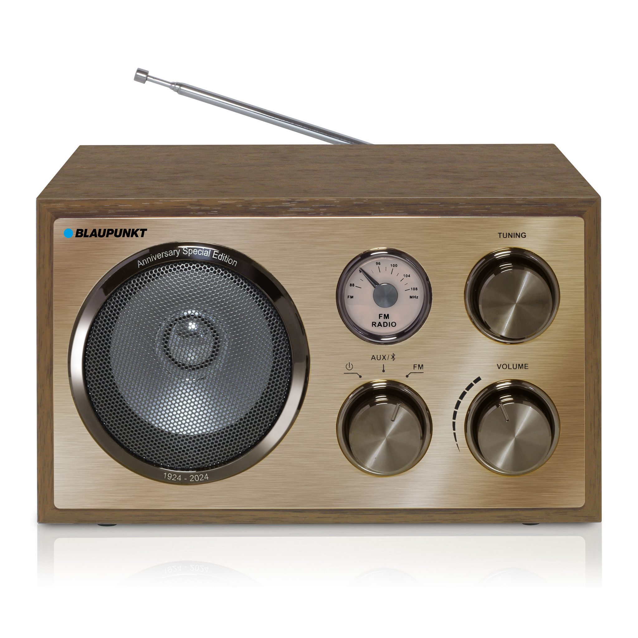 Blaupunkt RXN 180 Radio (UKW, Hintergrundbeleuchtete Freguenzanzeige)
