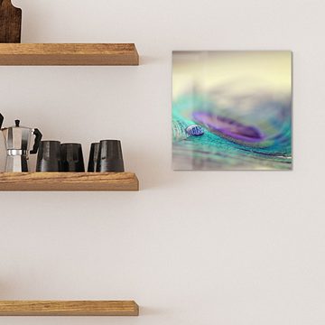 DEQORI Magnettafel 'Wasserperle auf Feder', Whiteboard Pinnwand beschreibbar