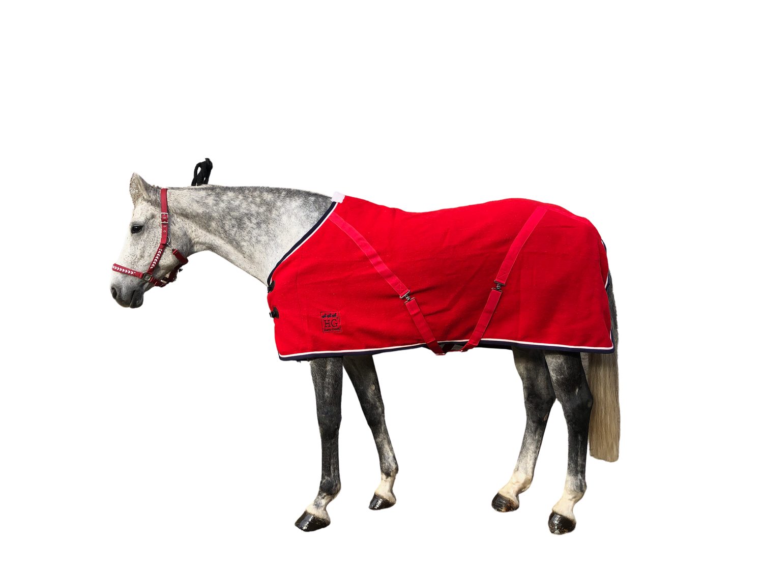 Horse Guard Pferde-Nierendecke Horse Guard RUG elegante Wolldecke Stall Wärme Transport Größen Farben