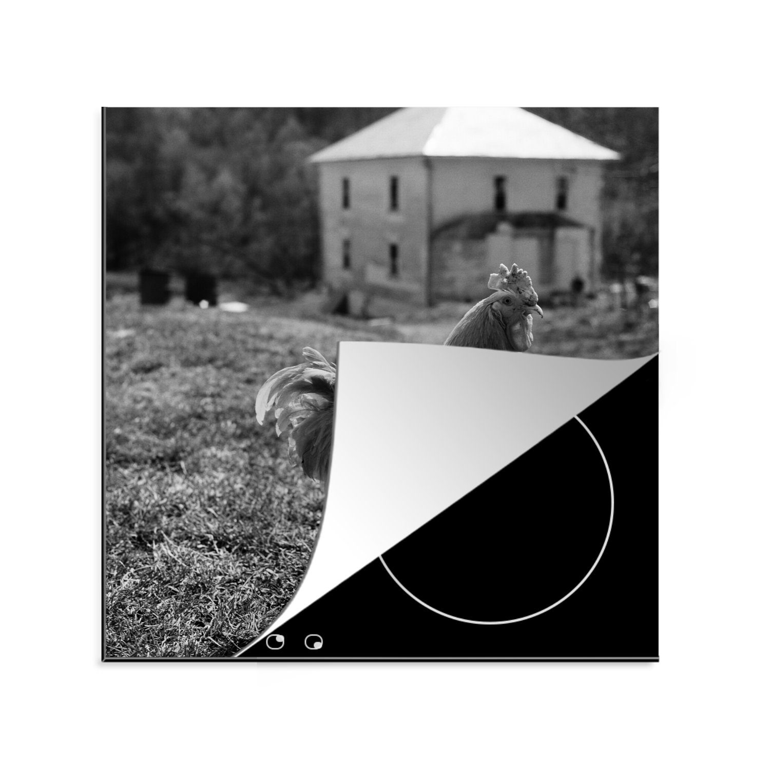 MuchoWow Herdblende-/Abdeckplatte Huhn in Schwarz und Weiß, das durch das Gras läuft, Vinyl, (1 tlg), 78x78 cm, Ceranfeldabdeckung, Arbeitsplatte für küche