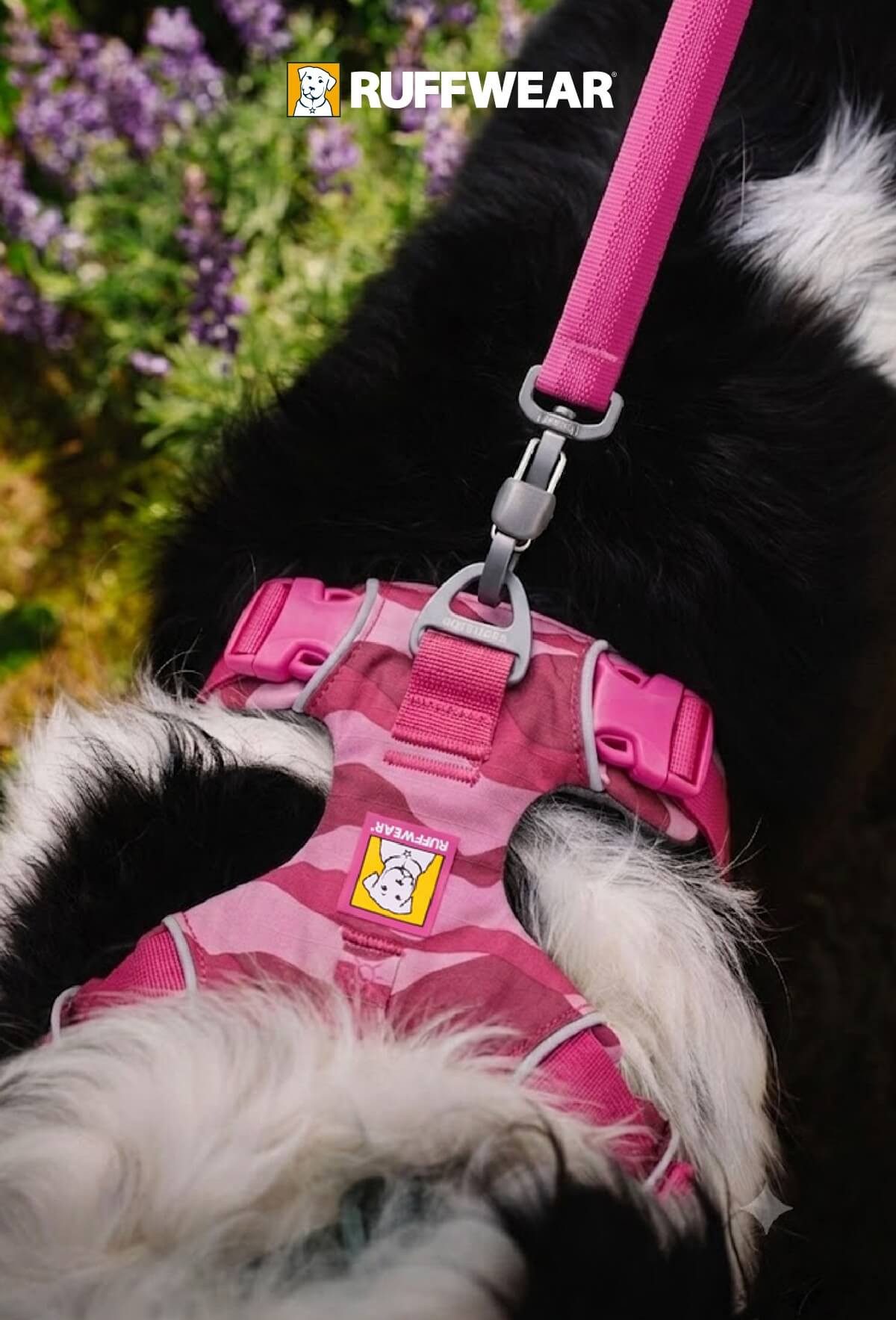 Ruffwear Hunde-Geschirr Front Range Harness