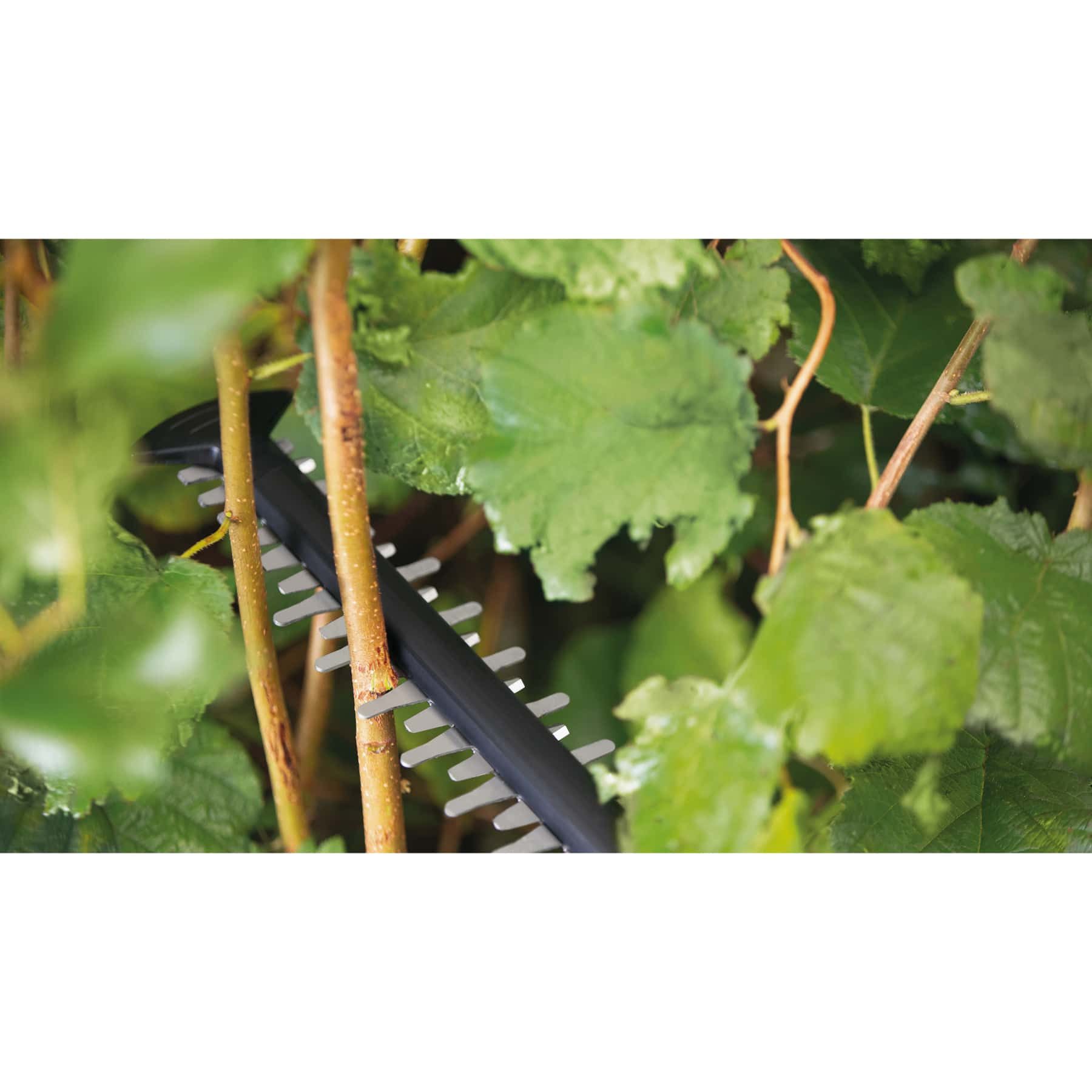 BOSCH Akku-Heckenschere BOSCH Akku-Heckenschere UniversalHedgeCut 18V-55