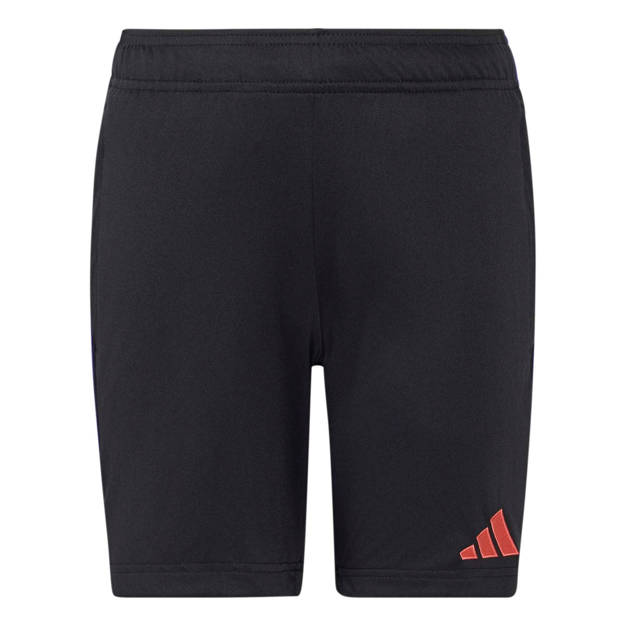 adidas Performance Shorts TIRO26L TRSHOY BLACK/PURPUR