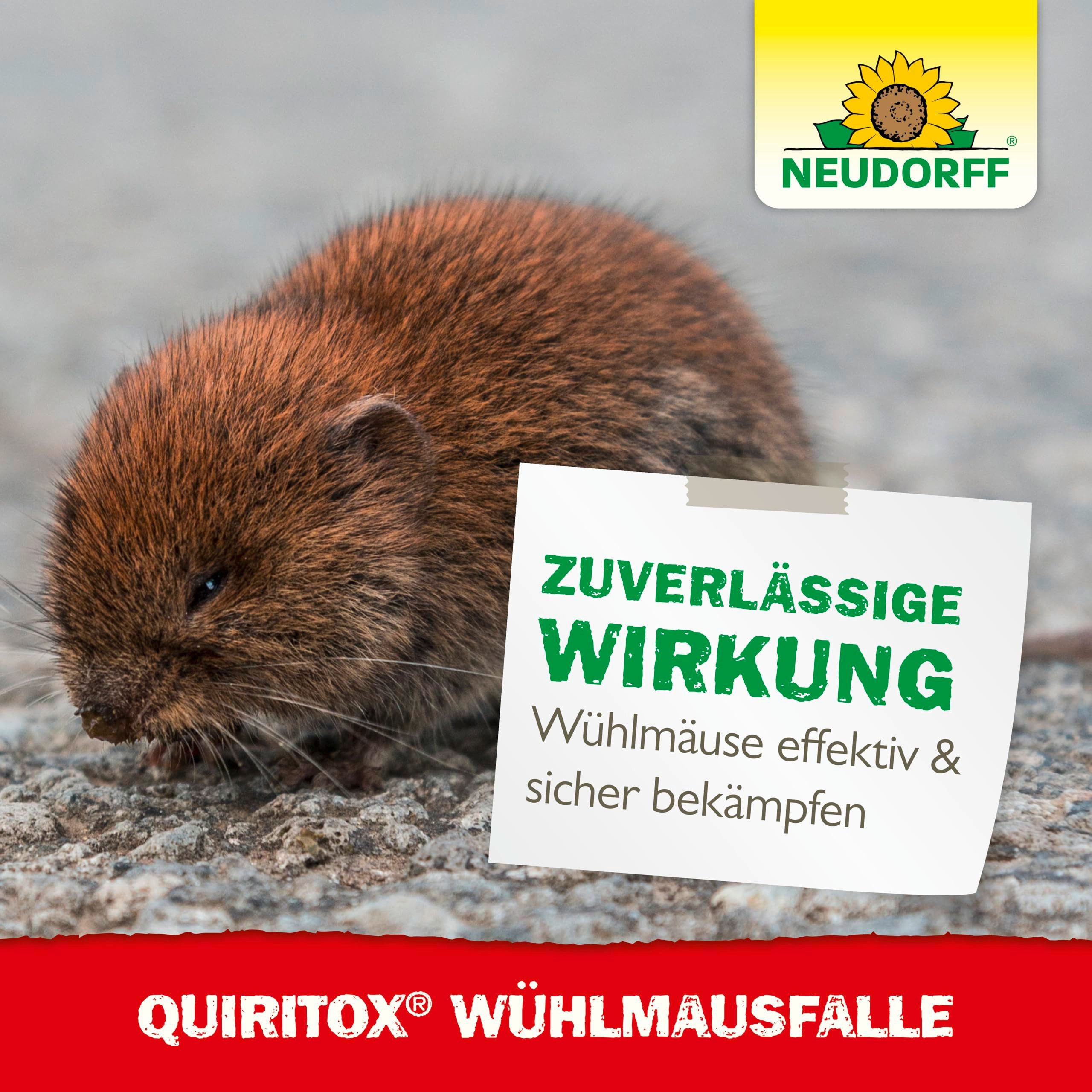 Neudorff Schlagfalle Quiritox WühlmausFalle 1 Stk.