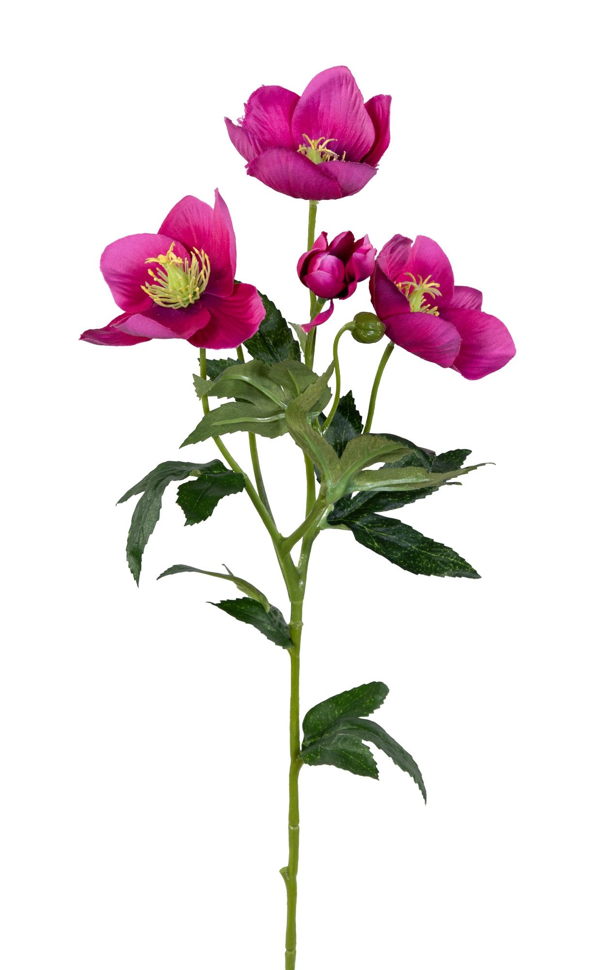 Kunstblume Christrose 62cm PM Dekoblumen künstliche Christrose Blumen Helle günstig online kaufen