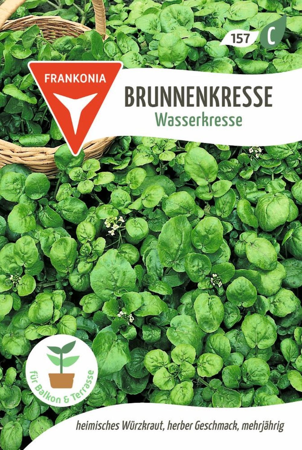 FRANKONIA Kräutersamen Brunnenkresse, Wasserkresse - Kräuter-Samen Gewürz Saatgut Samen, Nasturtium officinae