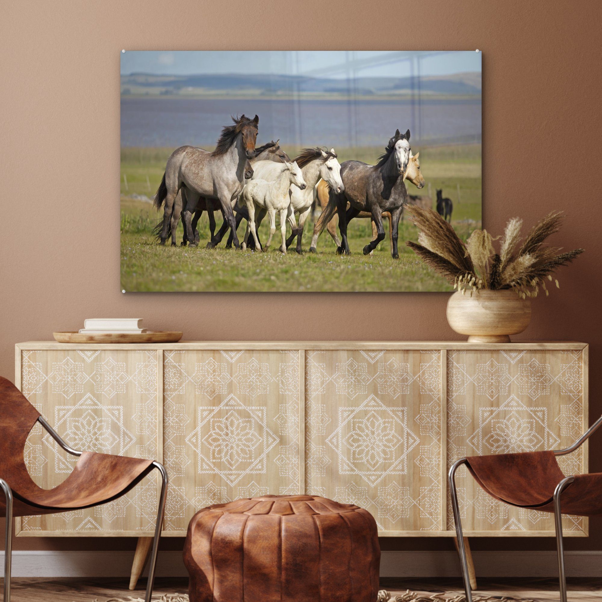 MuchoWow Acrylglasbild Pferde St), Schlafzimmer Herde Gras, Wohnzimmer - - Criollo (1 Acrylglasbilder & 