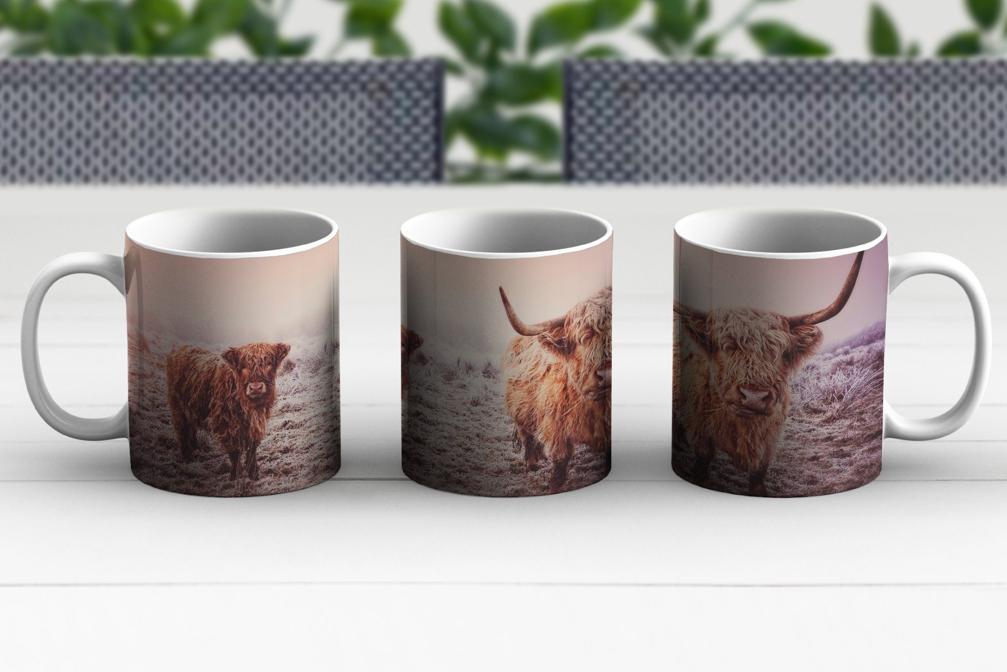 MuchoWow Tasse Schottische Highlander - Schnee Sonne, Keramik, Geschenk Becher, Teetasse, - Kaffeetassen, Teetasse