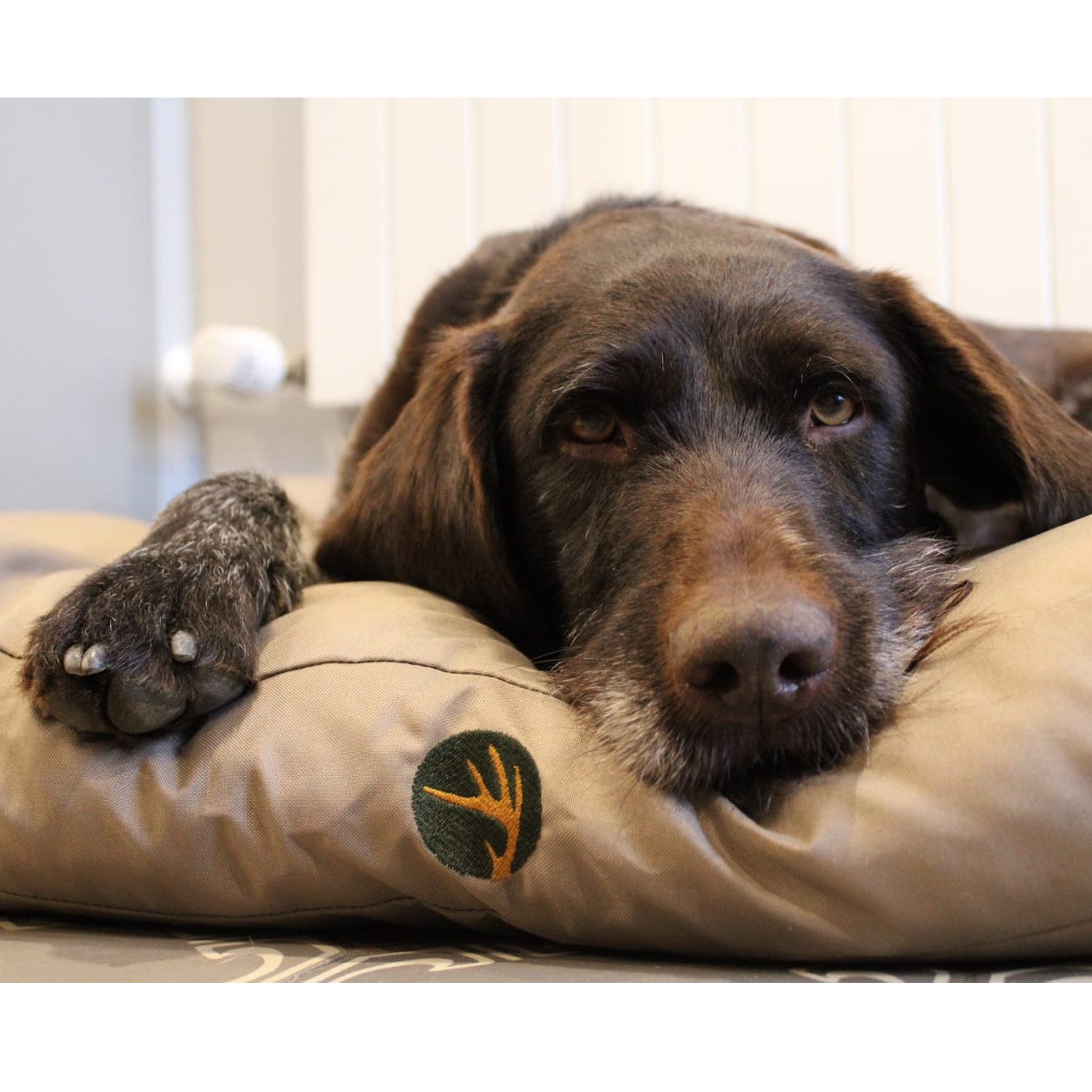 Waidmeister Hundematte Waidmeister Hundekissen Lasse günstig online kaufen