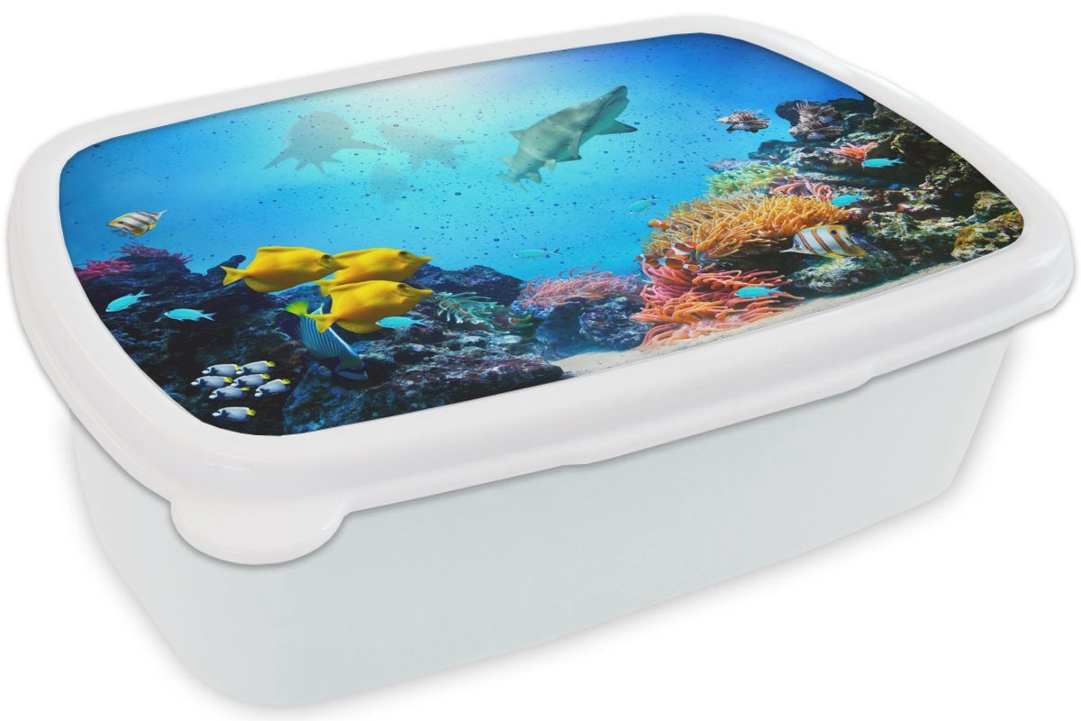 Meer MuchoWow für weiß Brotbox Erwachsene, Mädchen Korallen, und Kinder und für (2-tlg), Lunchbox Jungs - - Kunststoff, Fische Brotdose,