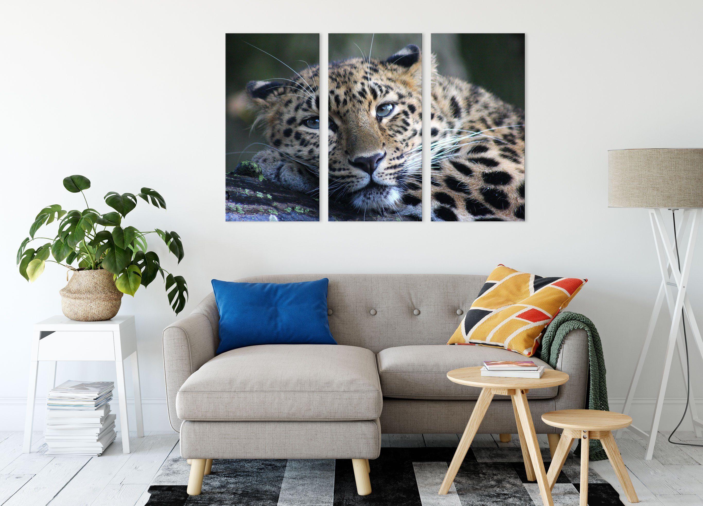 bespannt, Leinwandbild ruhender inkl. 3Teiler (1 Zackenaufhänger Leinwandbild St), Leopard (120x80cm) fertig Pixxprint Leopard, ruhender