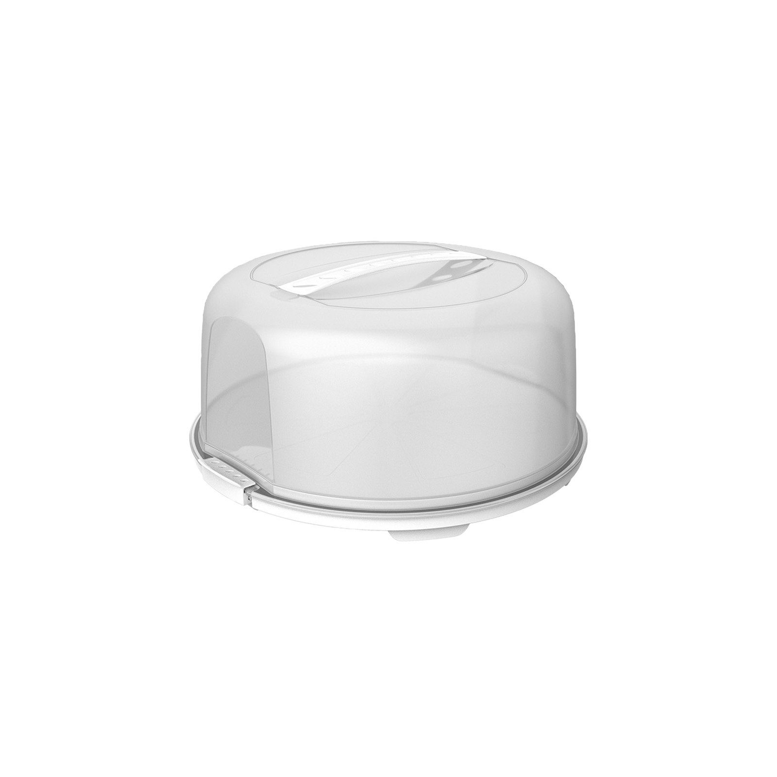 ROTHO Aufbewahrungssystem FRESH hoch Kuchentransportbox mit Haube und Griff