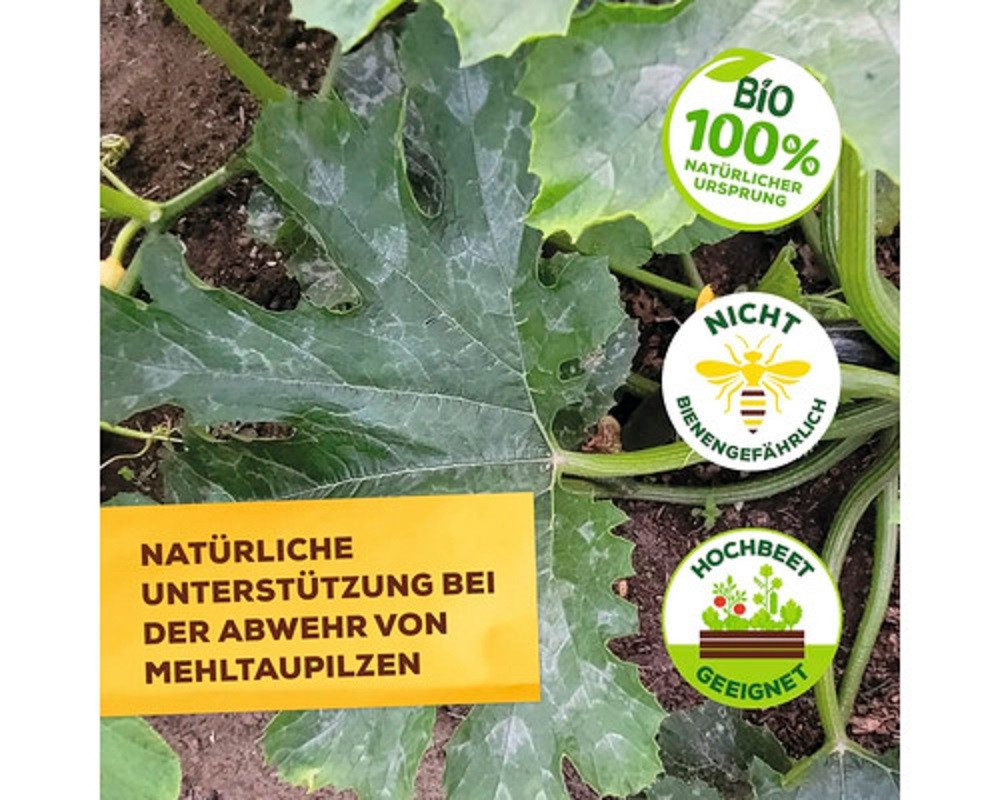Solabiol Pflanzen-Pilzfrei Solabiol Grundstoff Lecithin Spray AF 1 Liter