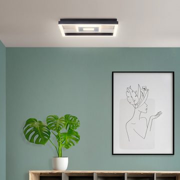 Lightbox LED Deckenleuchte, LED fest integriert, warmweiß, minimalistische LED Deckenlampe mit Holz, 28 x 30 cm, 2600 lm, 3000 K