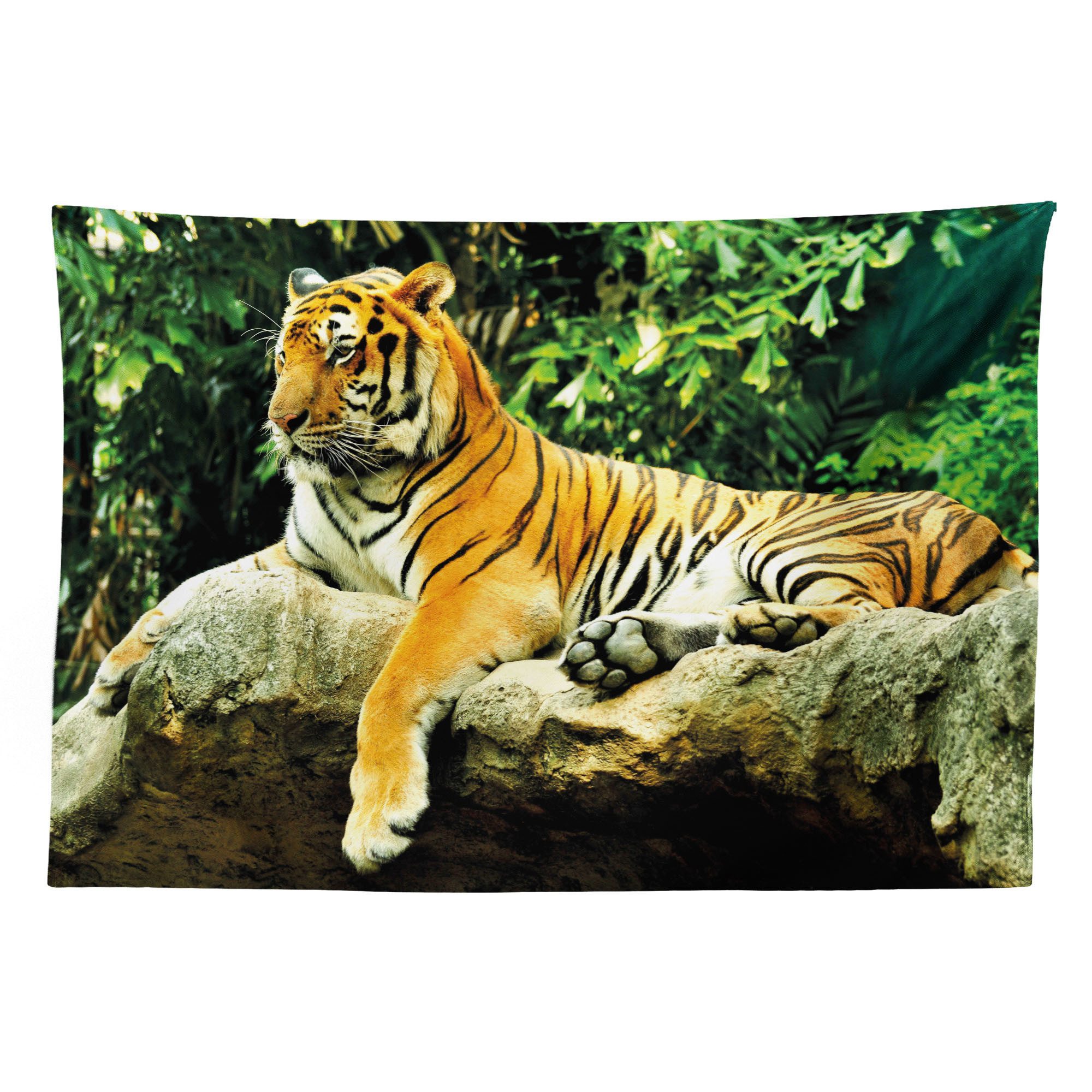 Abakuhaus Wandteppich aus Weiches Mikrofaser Stoff Für das Wohn und Schlafzimmer, rechteckig, Tiger Big Cat Resting in Wald