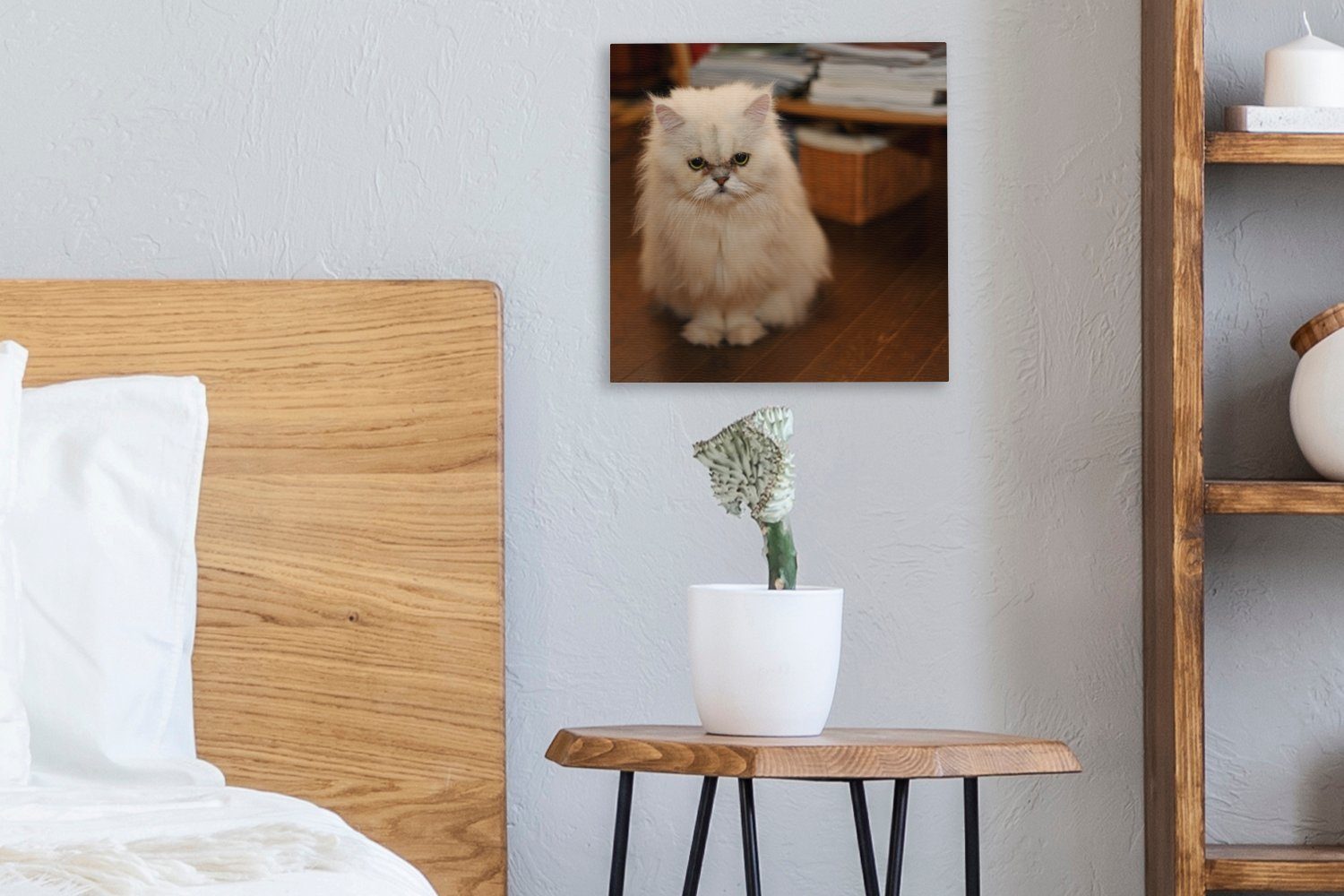 OneMillionCanvasses® Leinwandbild Niedlich aussehende Perserkatze, Wohnzimmer (1 Bilder St), für Leinwand Schlafzimmer