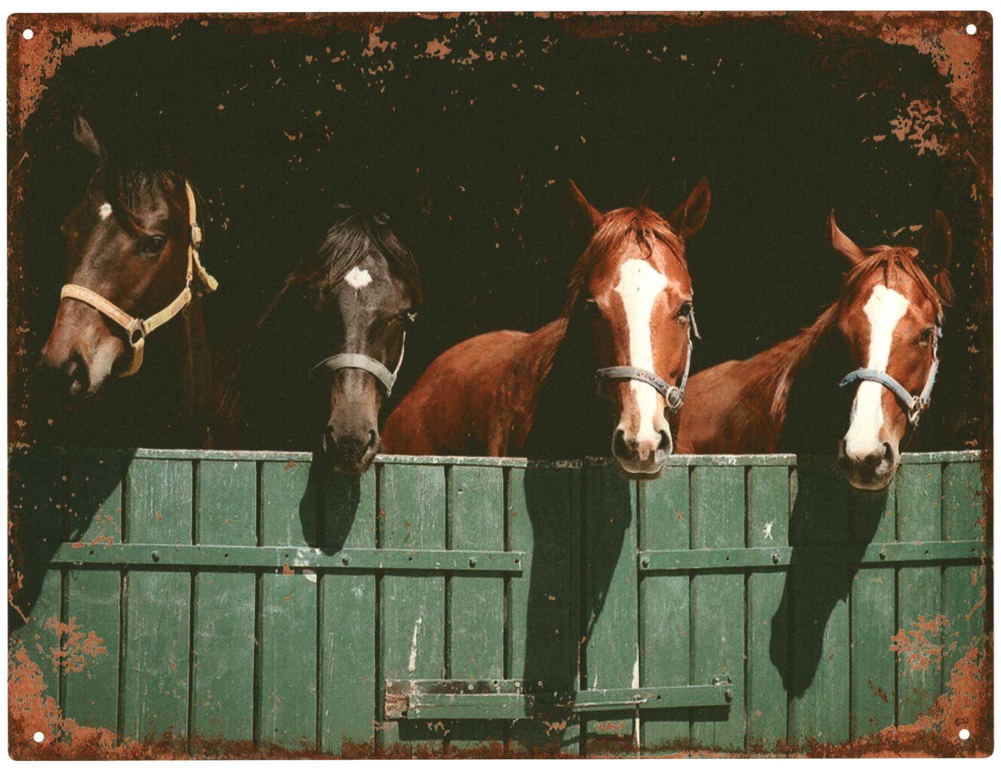 Moritz Metallschild Blechschild Pferde Pferdestall 25 x 33, (Einzeln), 25 x günstig online kaufen