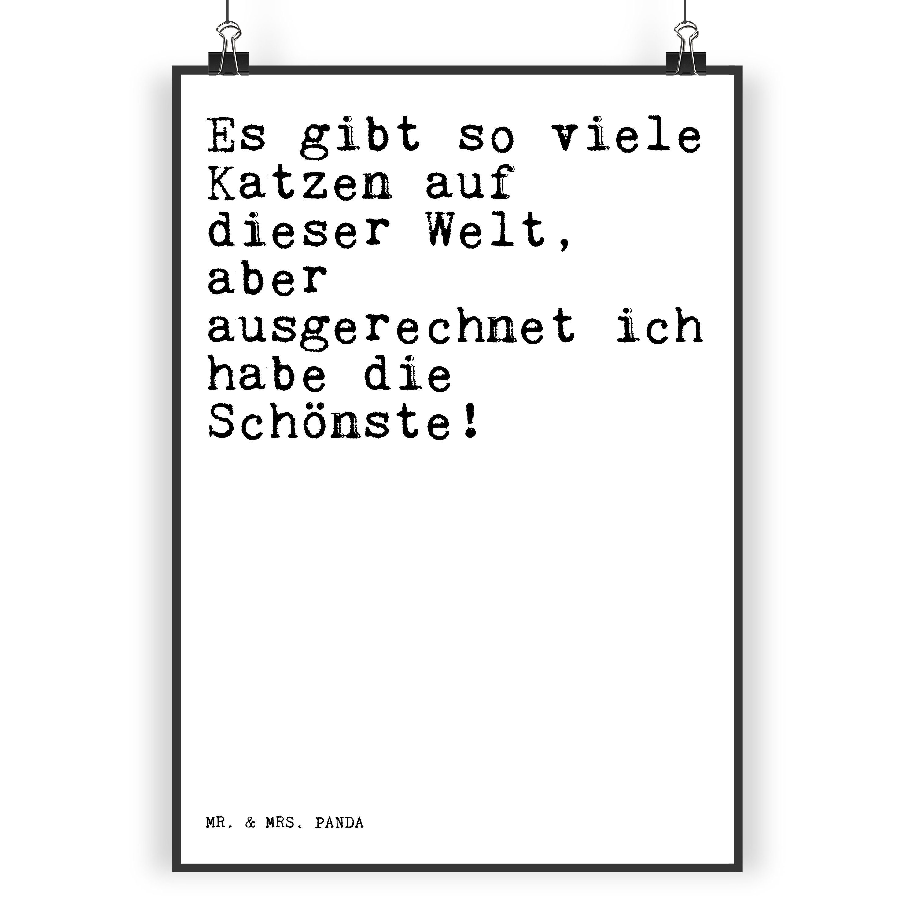 Mr. & Mrs. Panda Poster DIN A4 Es gibt so viele... Weiß Geschenk