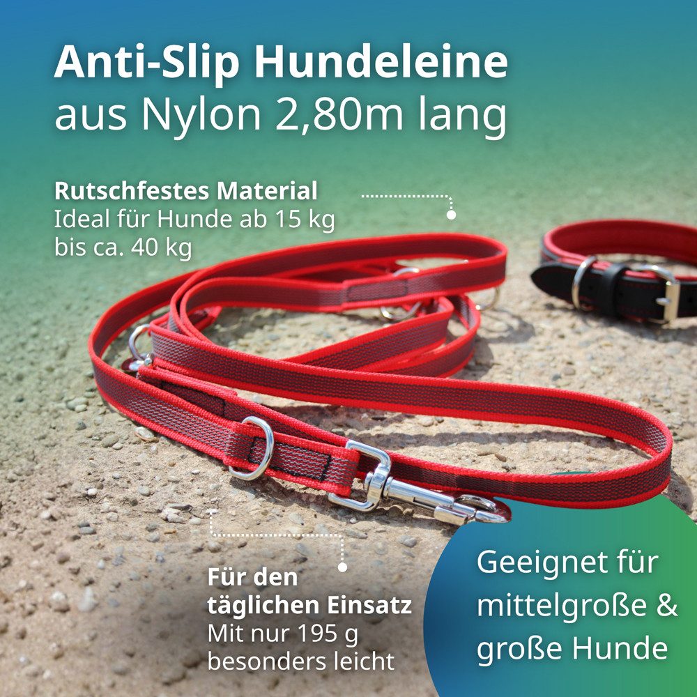 Activity4Dogs Hundeleine für große Hunde, Anti-Slip, 3 m lang, 4-fach verstellbar, TESTSIEGER, rutschfest, Nylon, sehr gut bei Regenwetter, Made in Germany