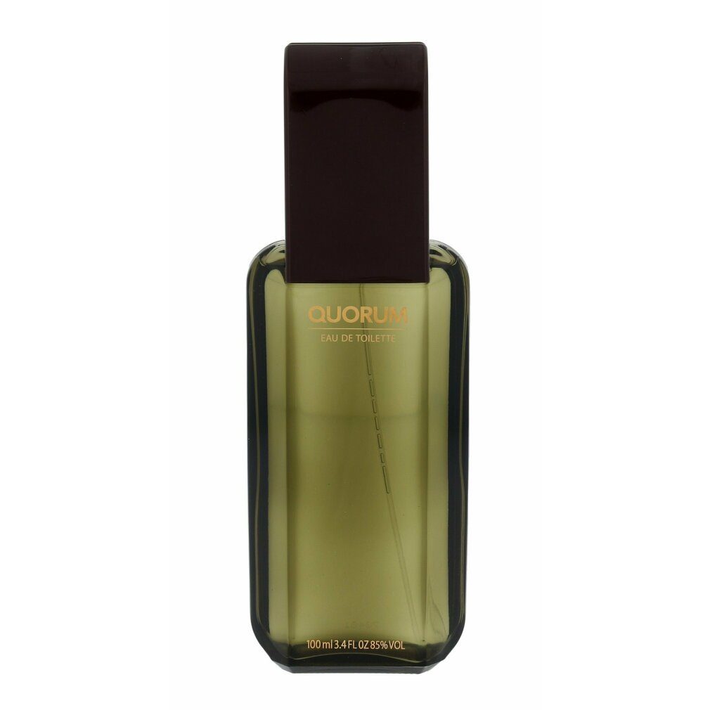 Antonio Puig Eau de Toilette Quorum Eau de Toilette 100ml Spray