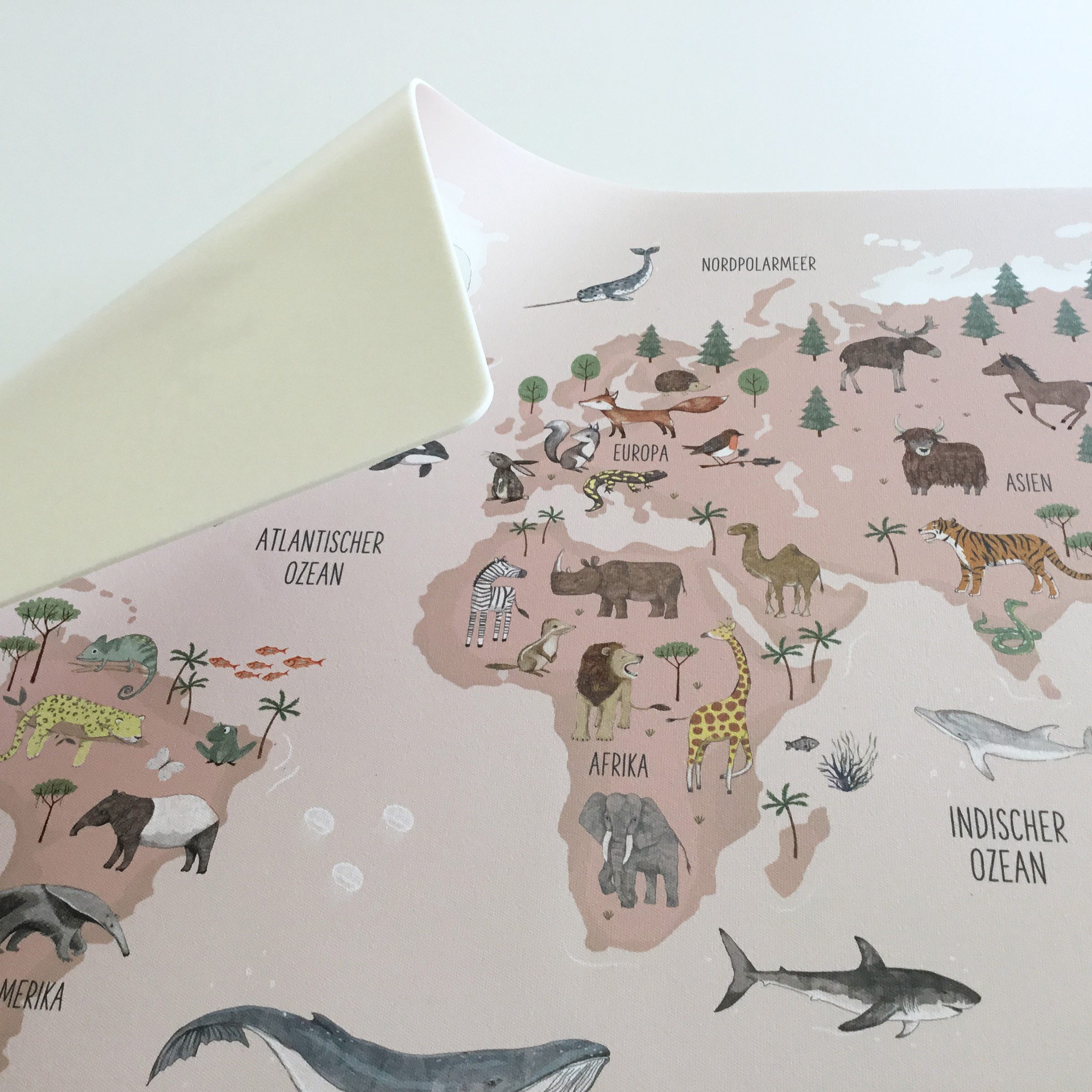 scriptum Schreibtischunterlage für Kinder – „Weltkarte Tiere rosa“ – 60 x 40 cm – aus Premium Vinyl, (1 tlg) – Bild 3 von 5