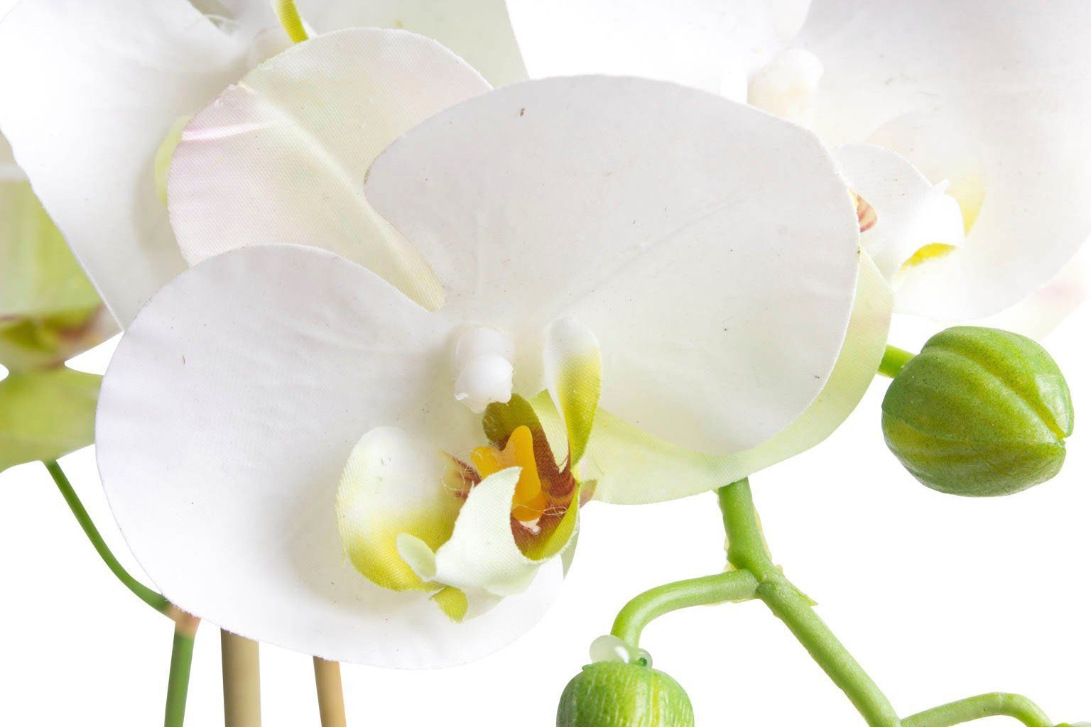 Kunstorchidee Orchidee Bora Orchidee, Botanic-Haus, Höhe 50 cm günstig online kaufen