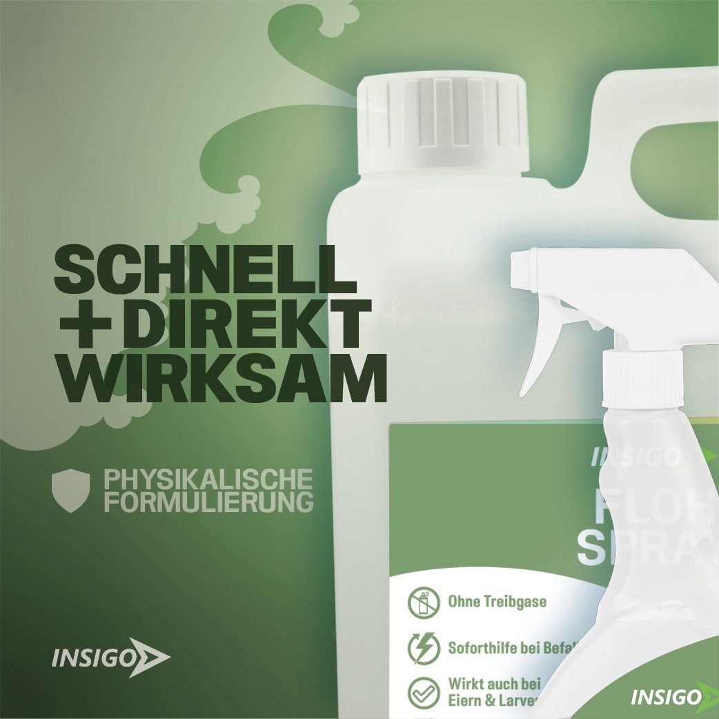 INSIGO Insektenspray Anti Floh-Spray Floh-Mittel Ungezieferspray, 2.5 l, biozidfreie Formel, auf Wasserbasis, geruchsarm, brennt / ätzt nicht
