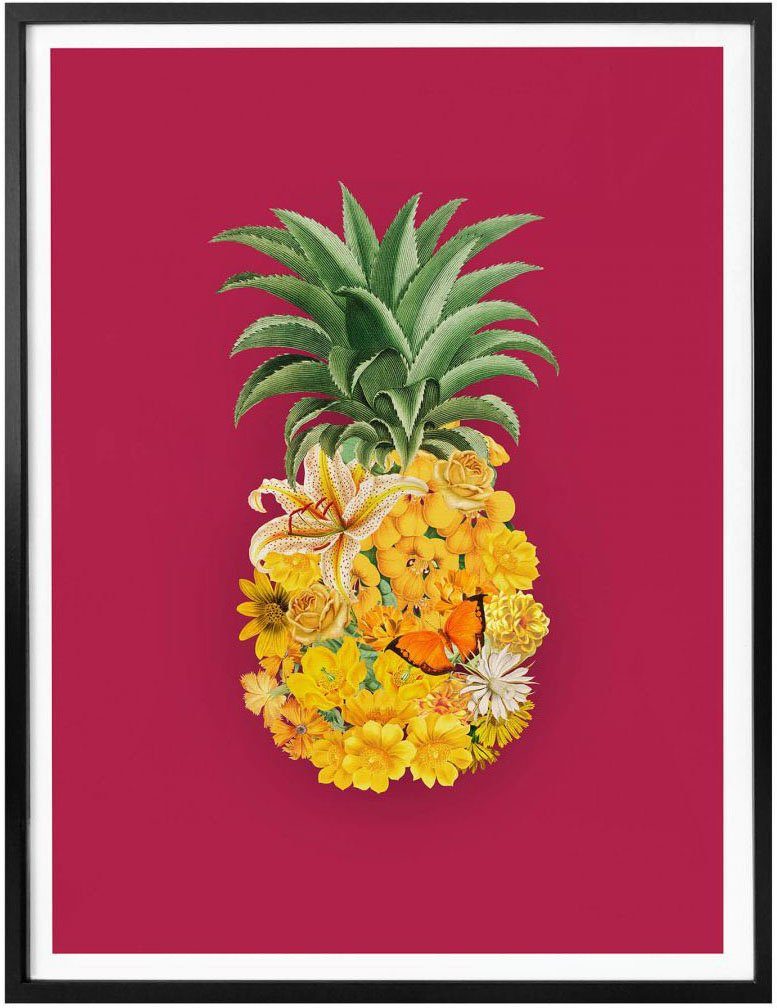 Wall-Art Poster Blume Blumen Ananas St) Pink, (1