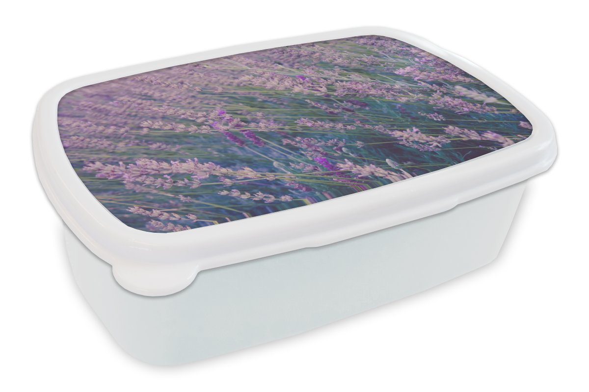 MuchoWow Lunchbox Blumen - Lavendel - Lila, Kunststoff, (2-tlg), Brotbox für Kinder und Erwachsene, Brotdose, für Jungs und Mädchen weiß