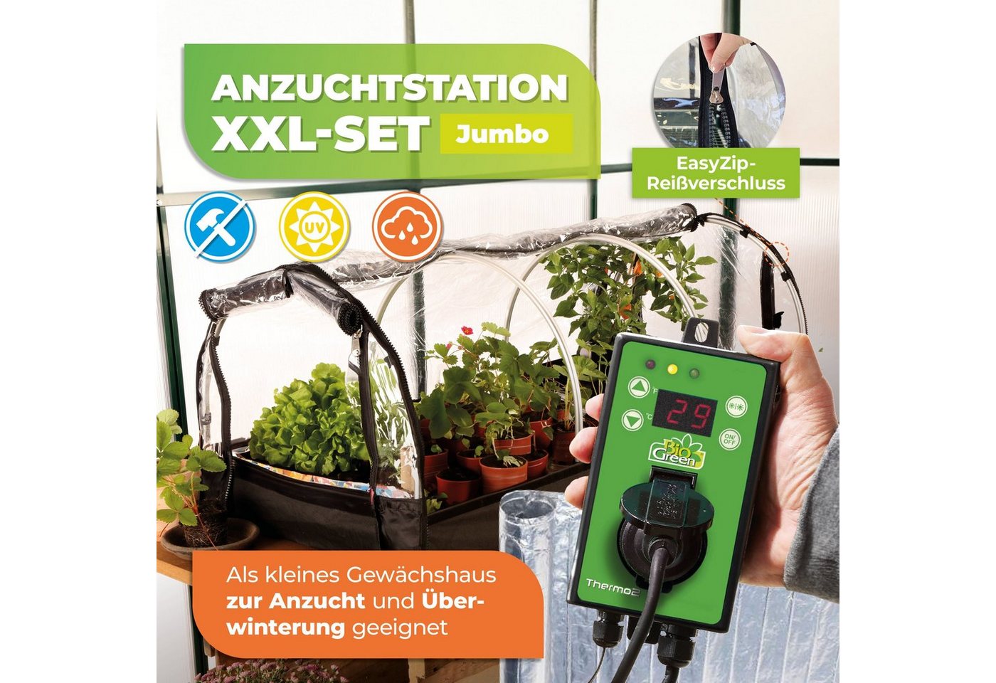 Thumbnail - Bio Green Frühbeet Zimmergewächshaus mit Heizmatte & Digitalthermostat "Jumbo" XXL