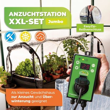 Bio Green Frühbeet Zimmergewächshaus mit Heizmatte & Digitalthermostat "Jumbo" XXL