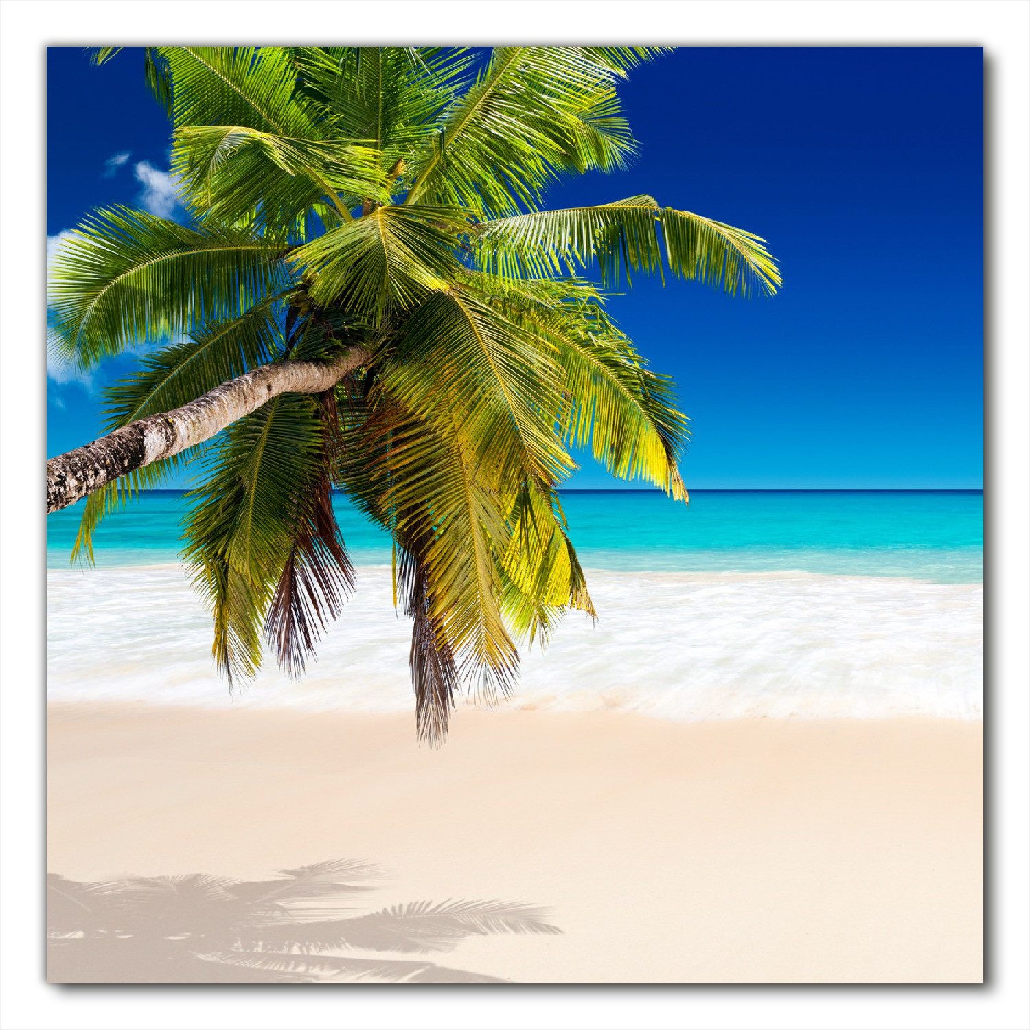 Wallario Möbelfolie Südseestrand in der Karibik mit Palme