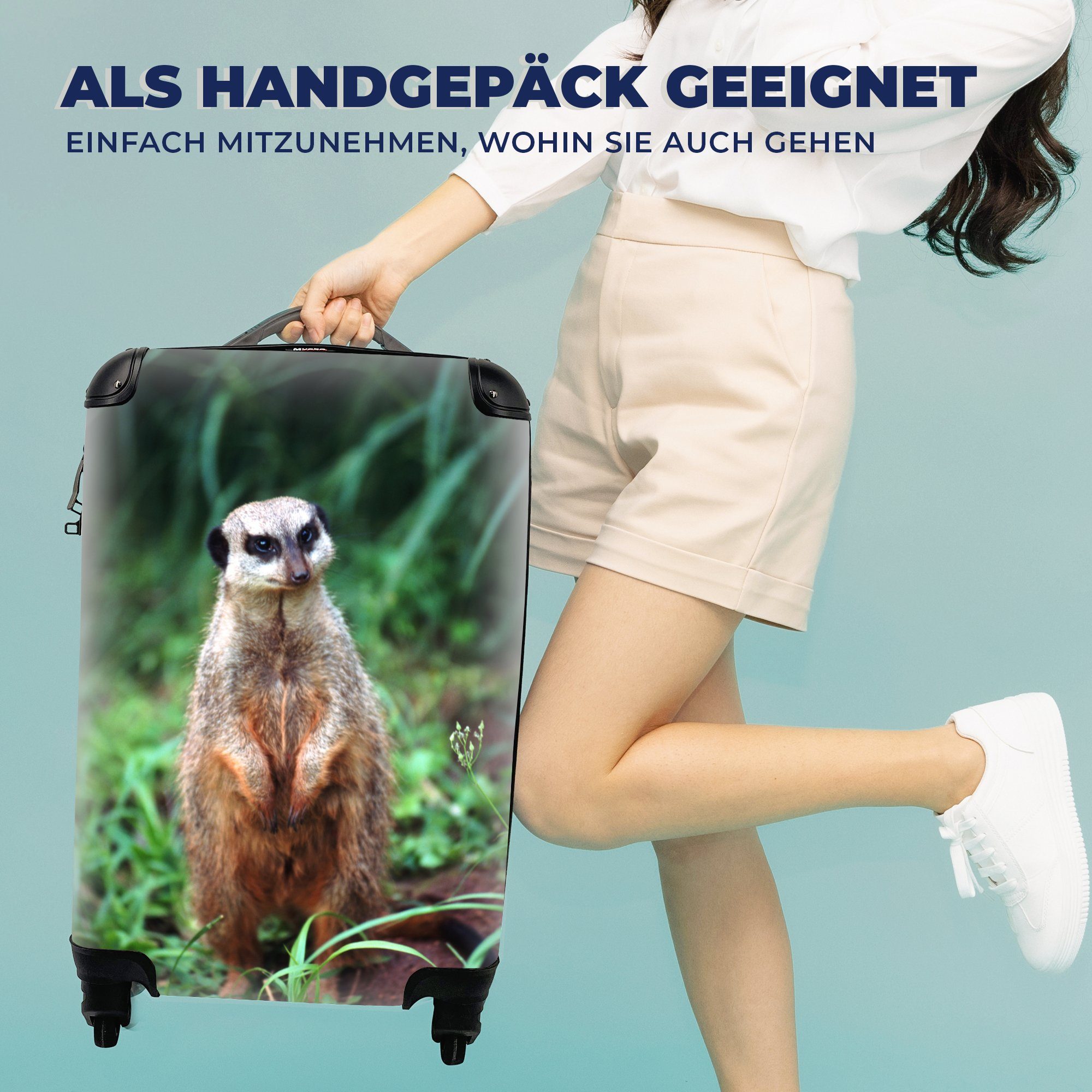 MuchoWow Handgepäckkoffer Gras - Erdmännchen - 4 Reisetasche Reisekoffer Ferien, rollen, für mit Tier, Trolley, Rollen, Handgepäck