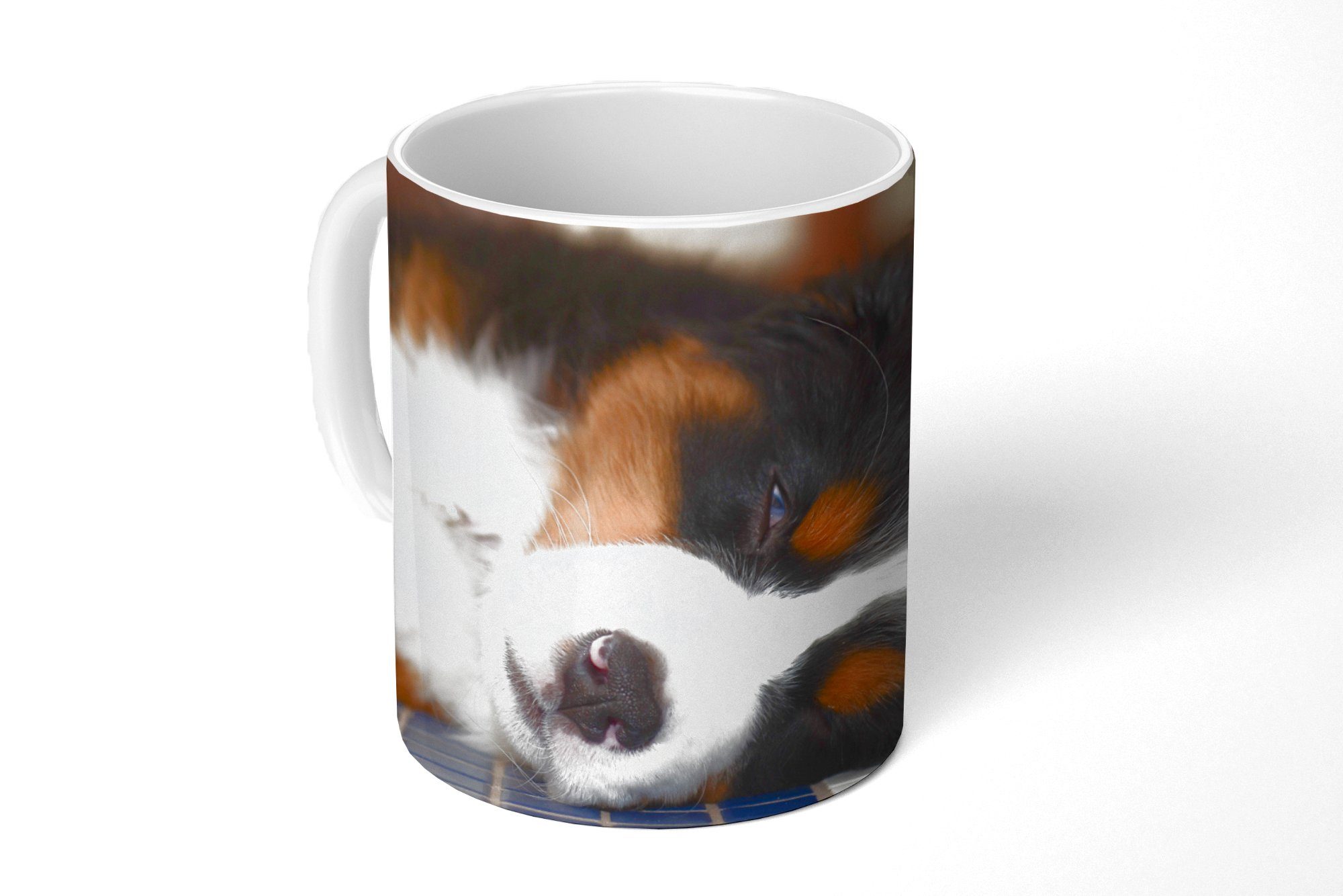 MuchoWow Tasse Liebenswerter Berner Sennenhund schläft ein, Keramik, Kaffeetassen, Teetasse, Becher, Teetasse, Geschenk | Tassen