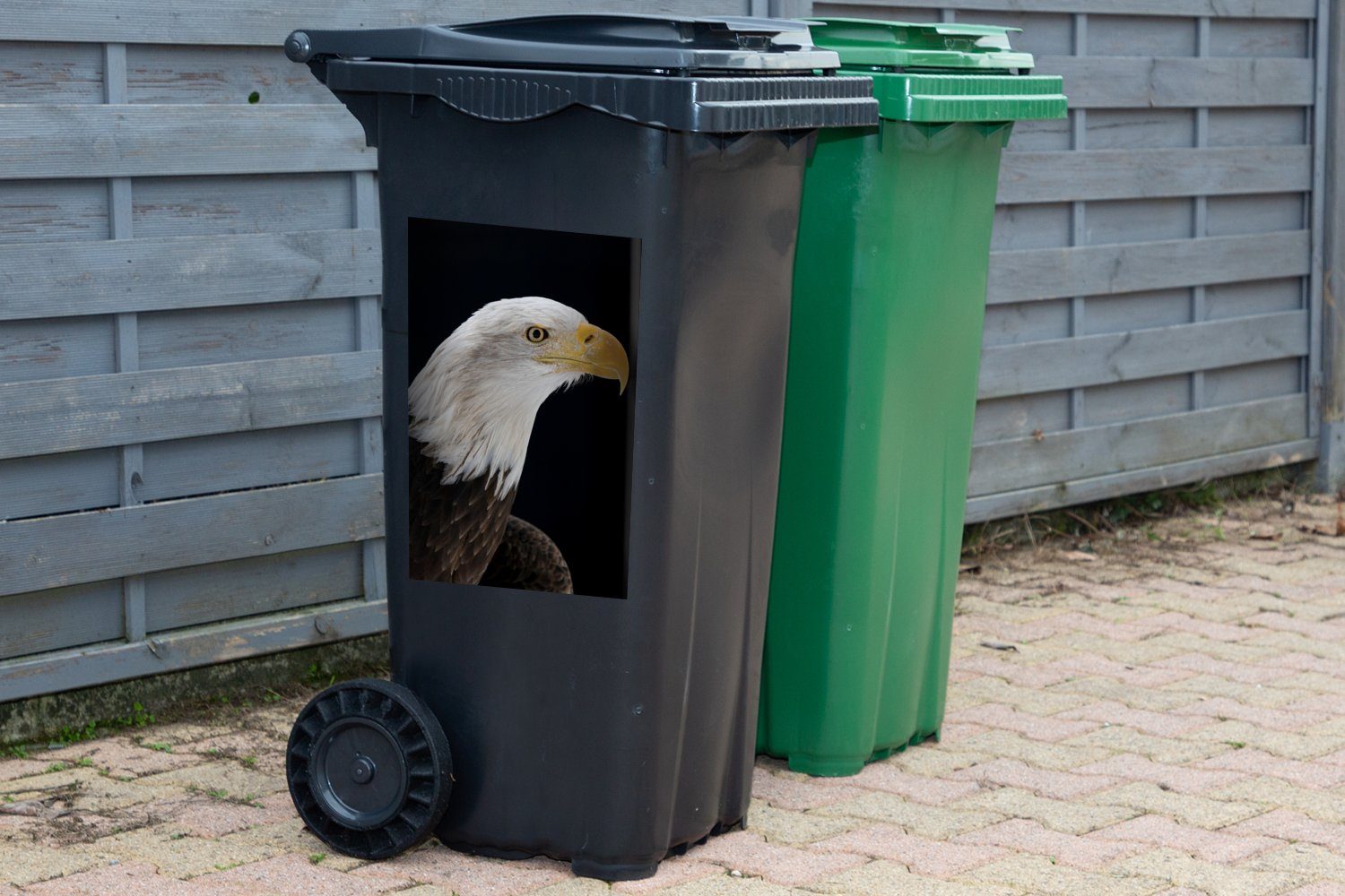 Mülltonne, Container, - MuchoWow Mülleimer-aufkleber, (1 - - Adler Sticker, Wandsticker Abfalbehälter St), Schwarz Vogel Schnabel